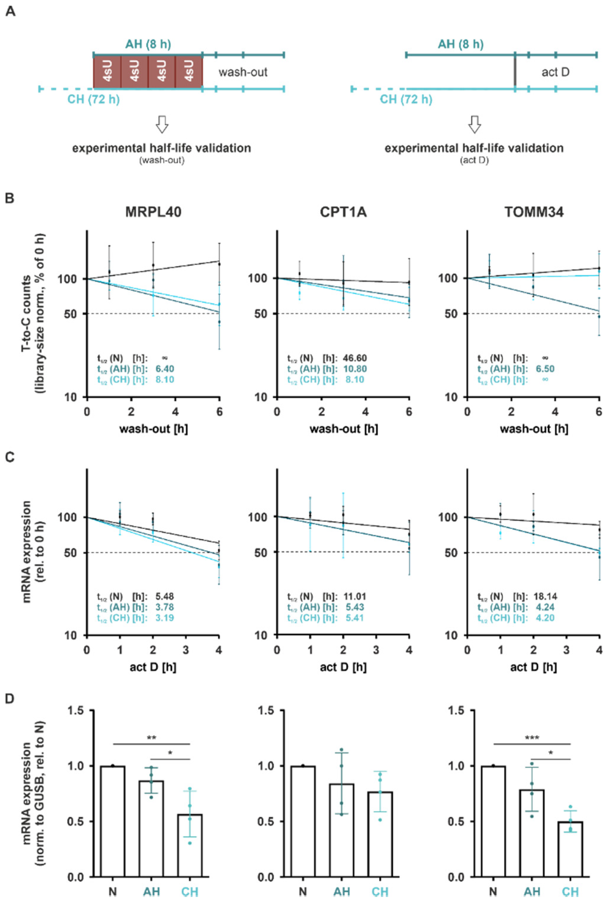Ijms 23 05824 g007 550