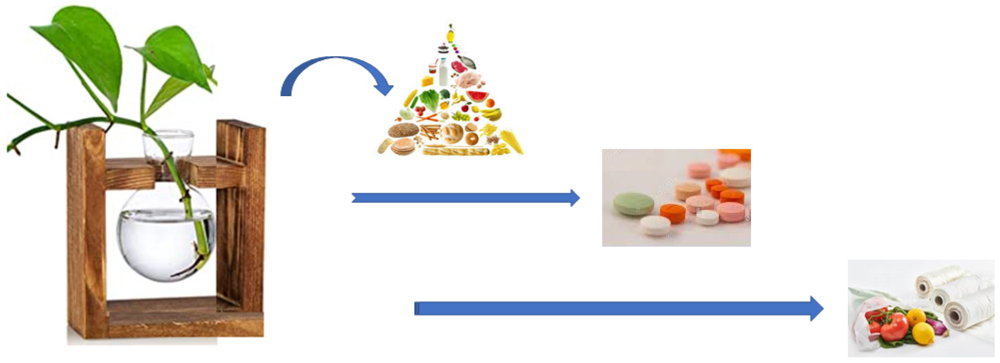 Ijms 23 05827 g001 550