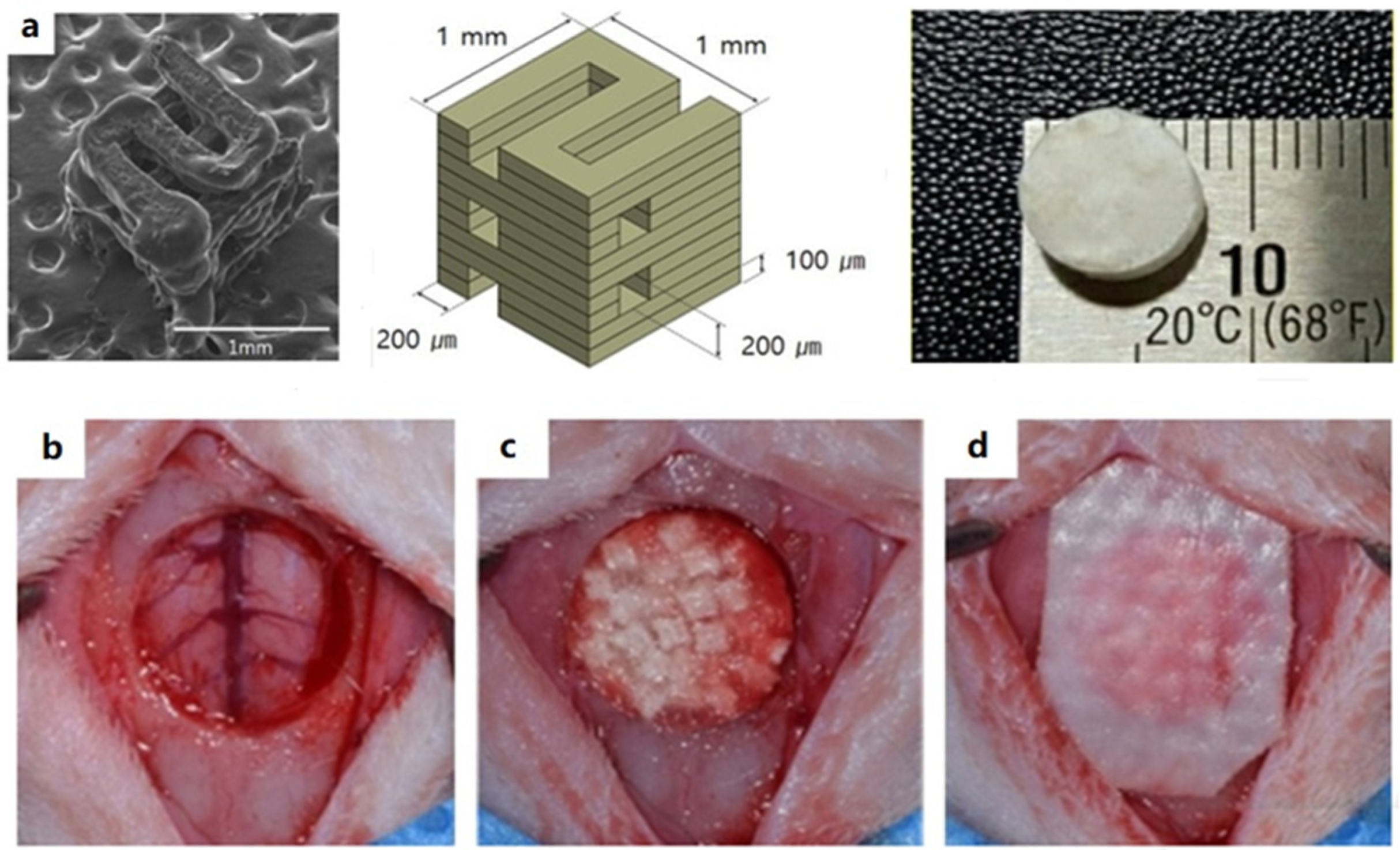 Ijms 23 05831 g001 550