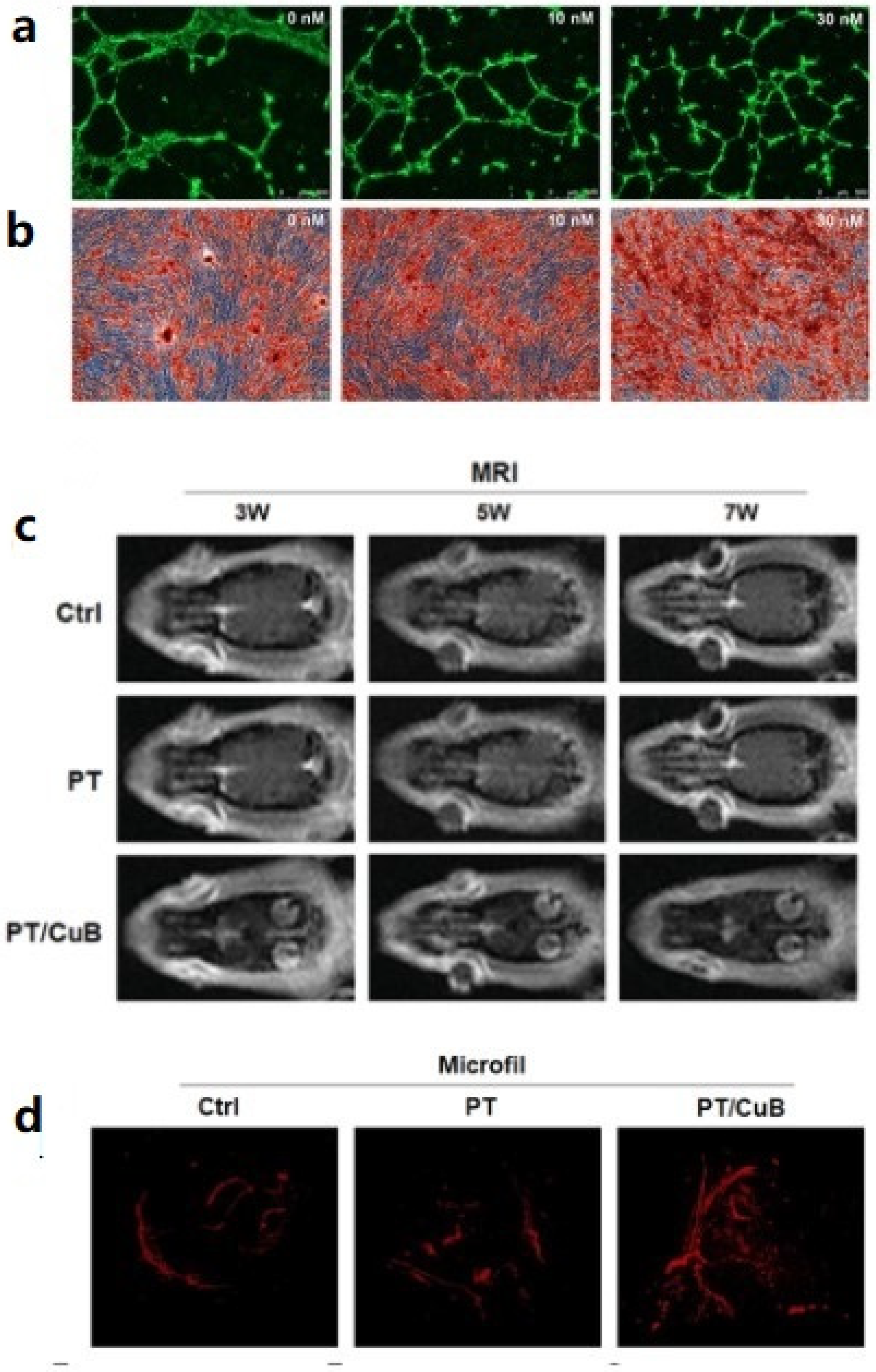 Ijms 23 05831 g005 550