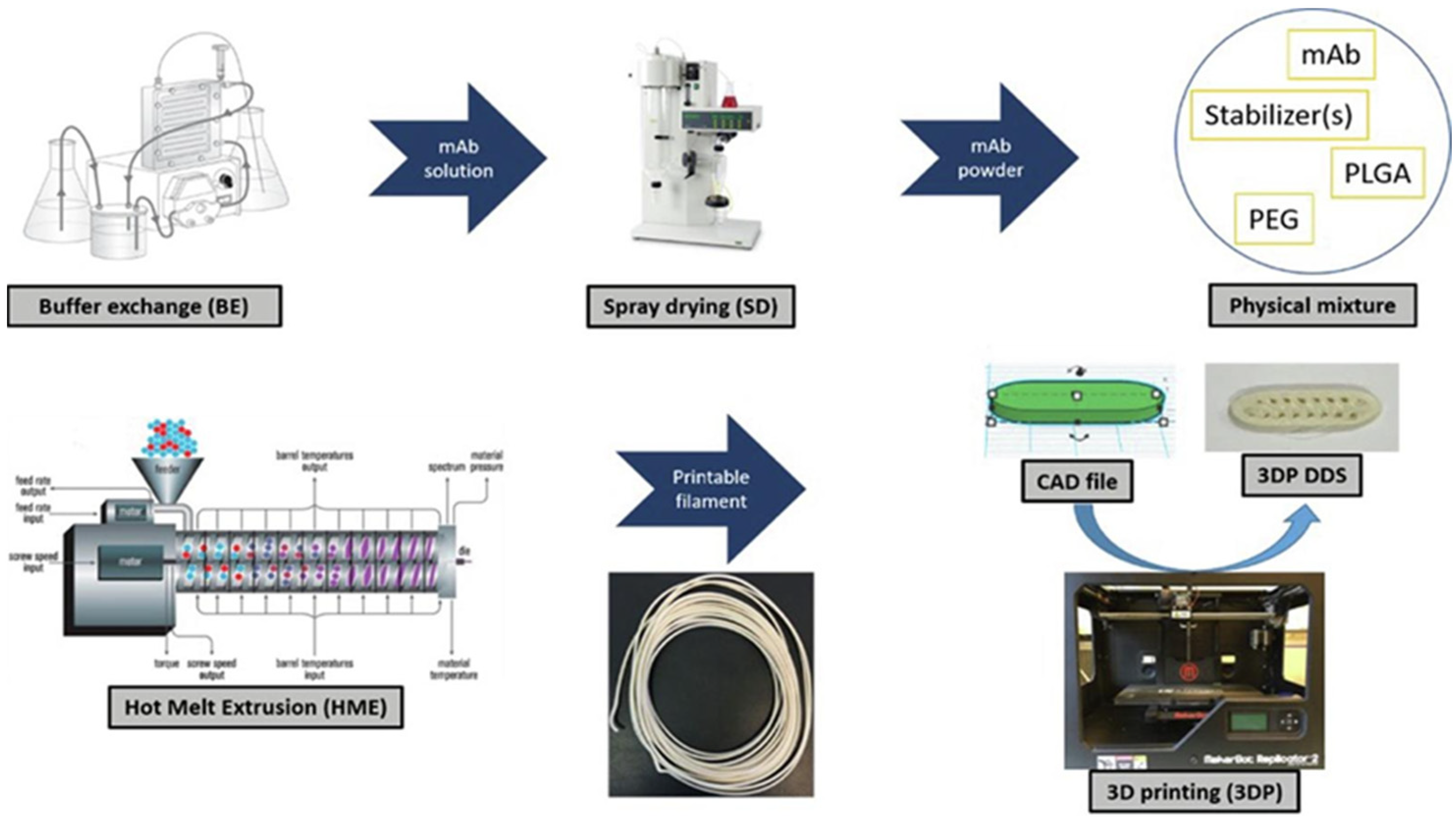 Ijms 23 05831 g007 550