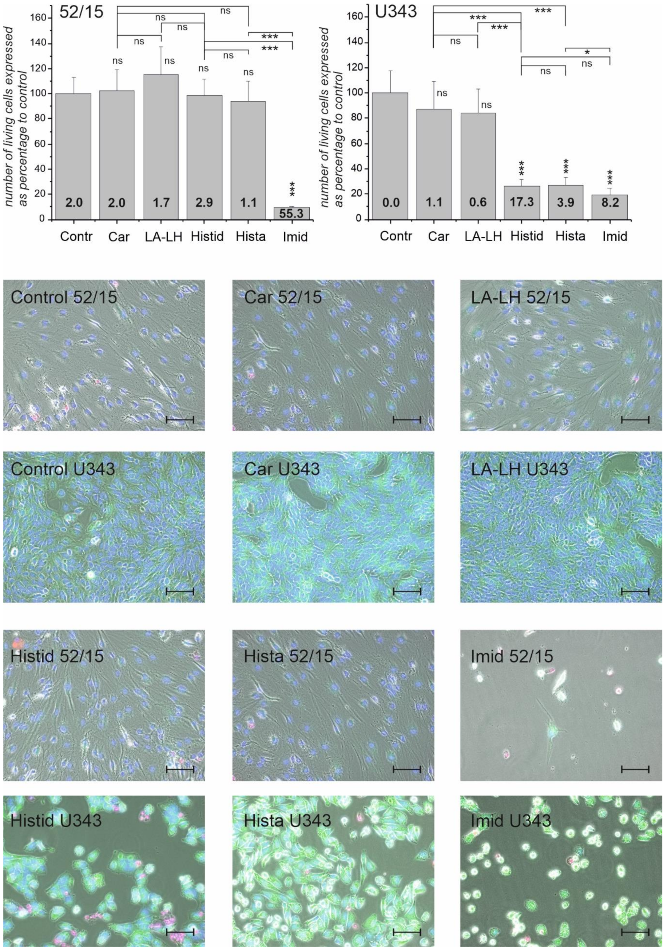 Ijms 23 05834 g002 550
