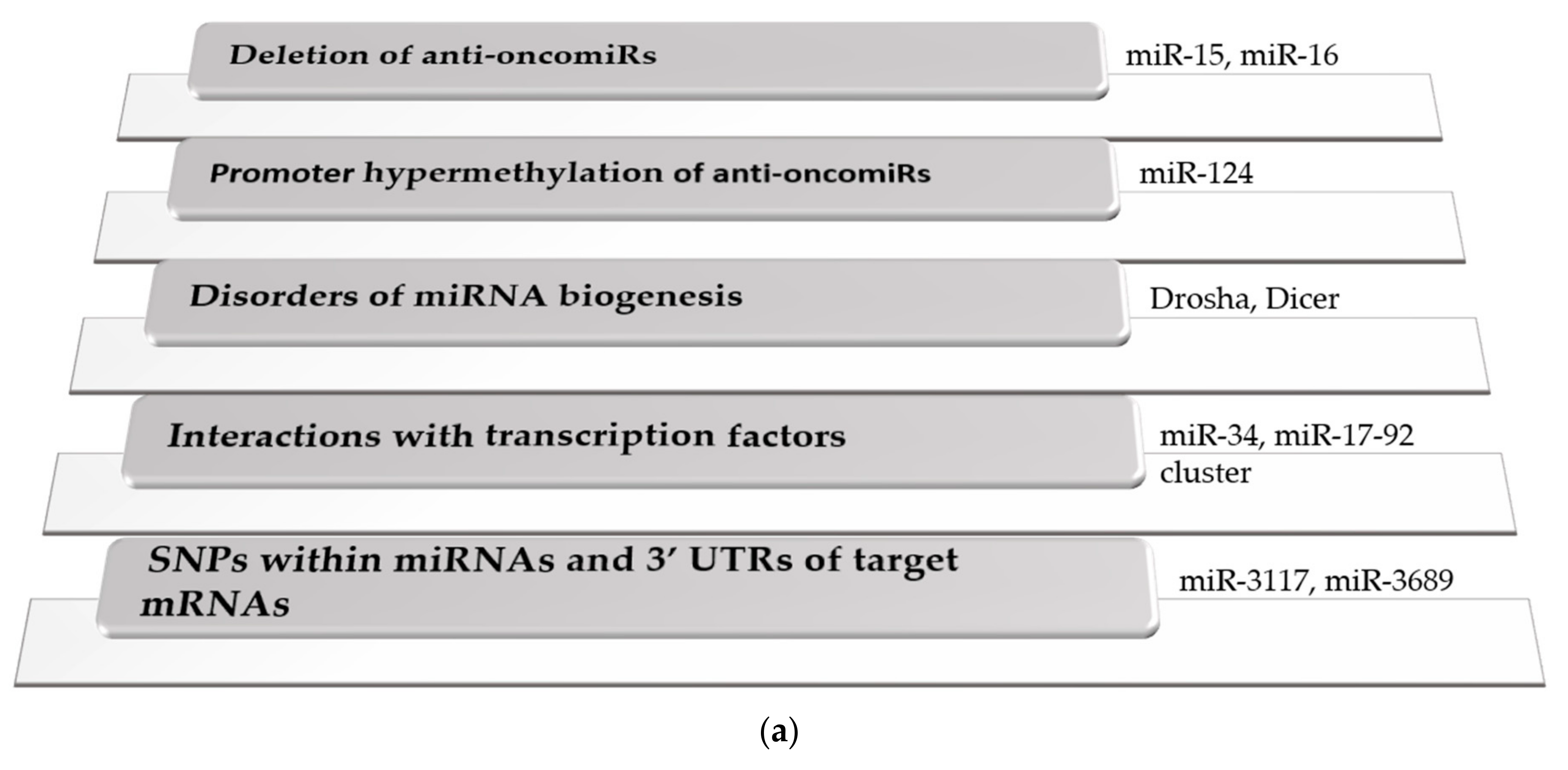 IJMS | Free Full-Text | Implication of microRNAs in Carcinogenesis 