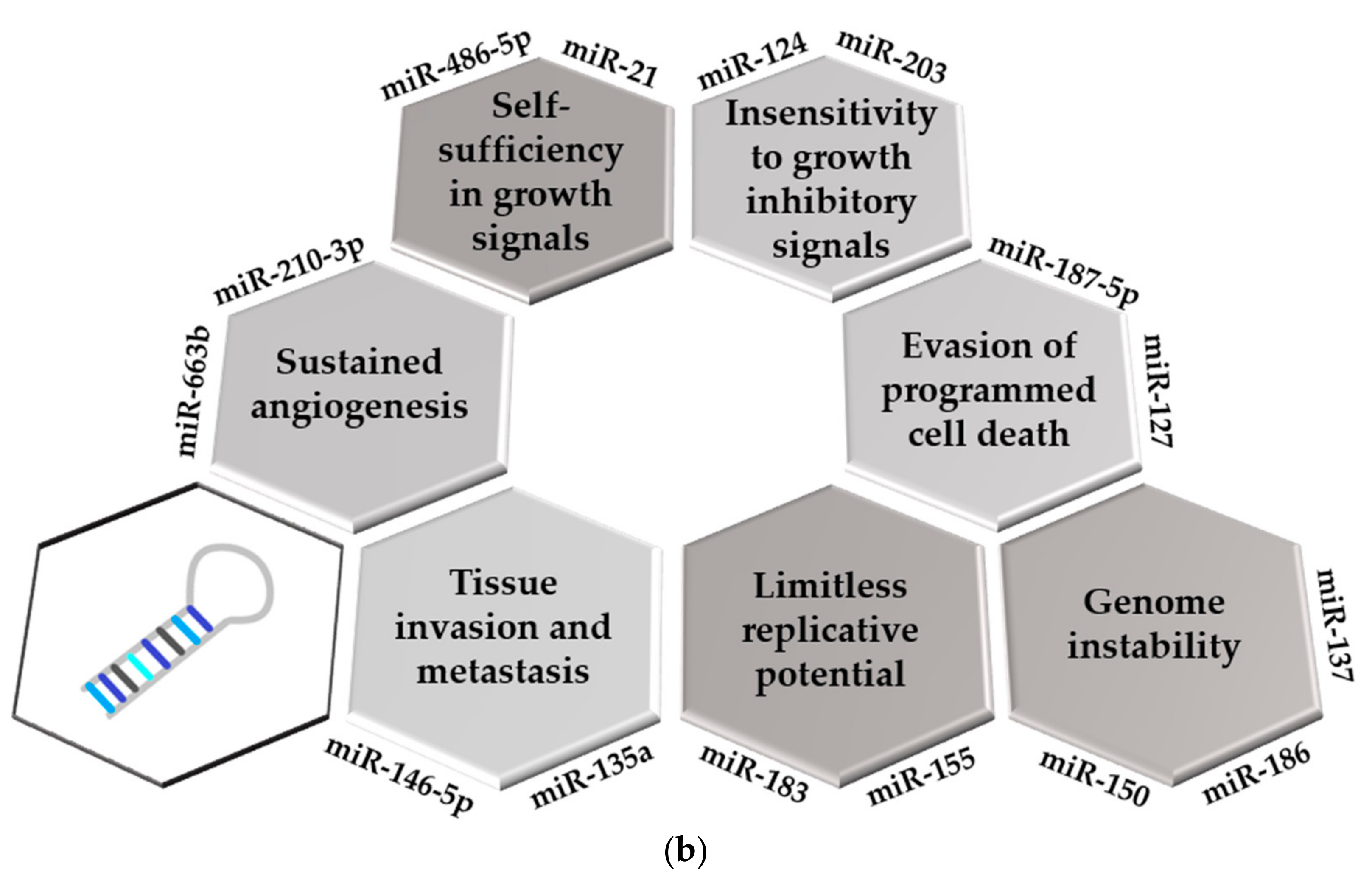 IJMS | Free Full-Text | Implication of microRNAs in Carcinogenesis 