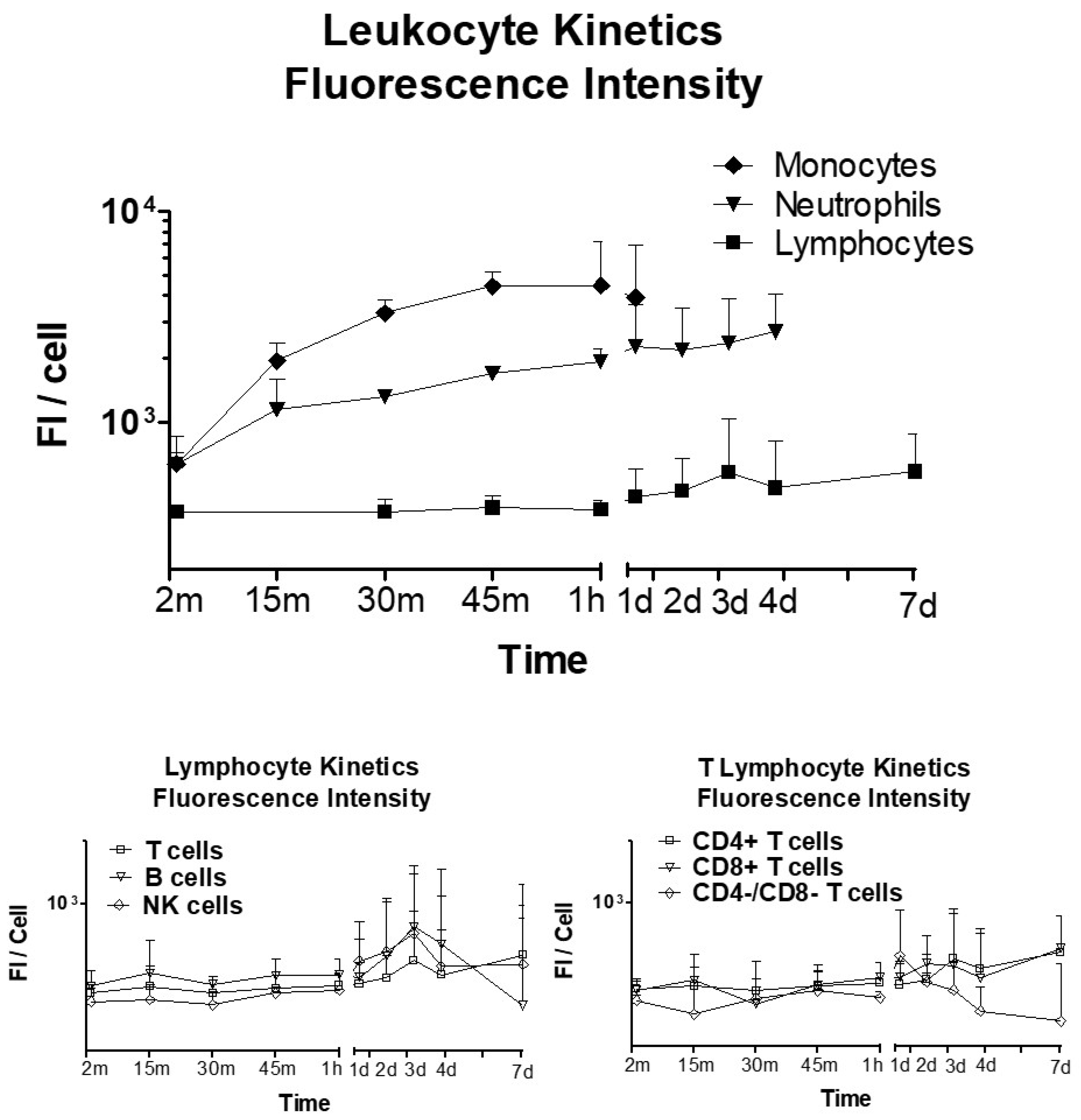Ijms 23 05839 g005 550