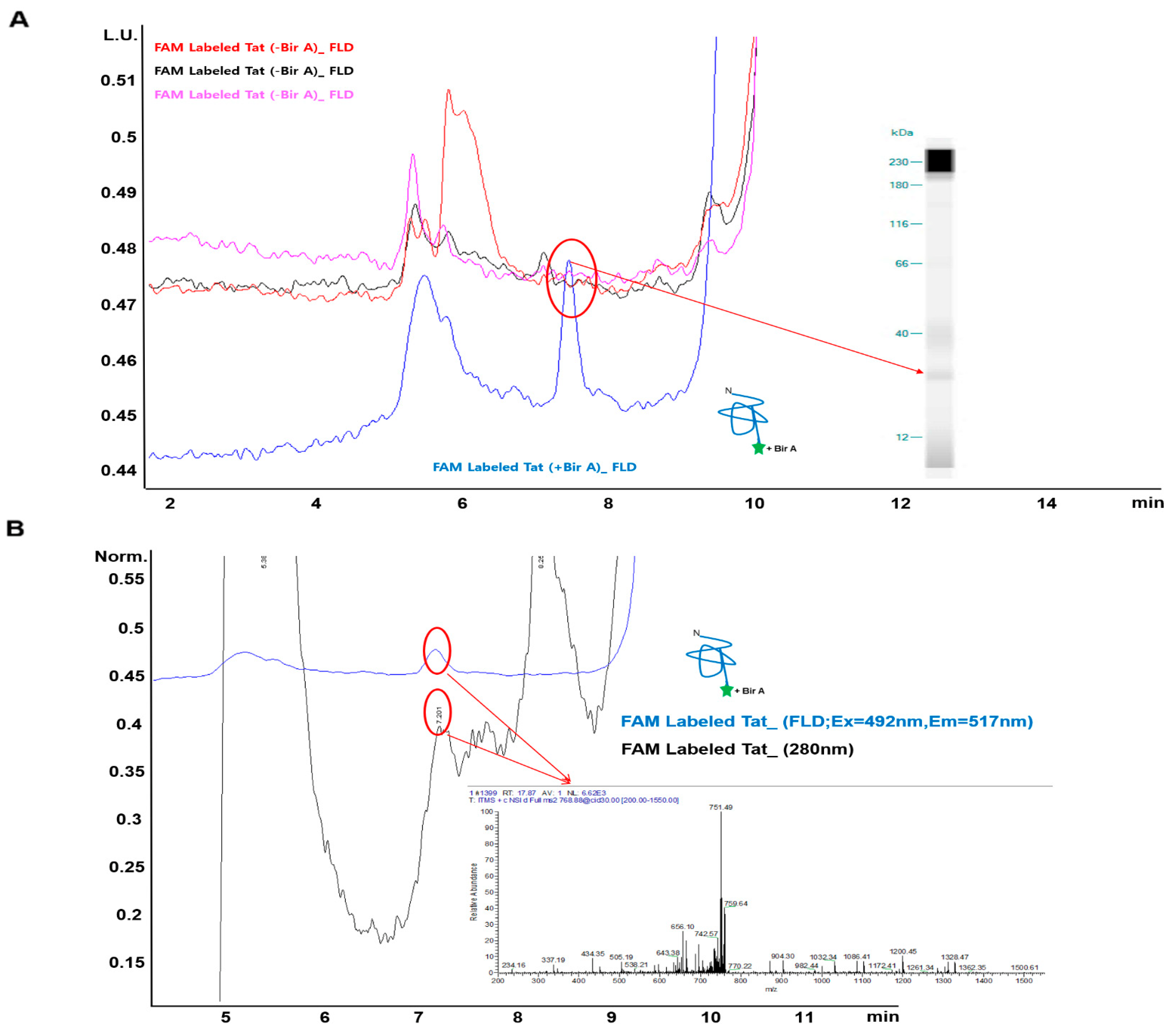 Ijms 23 05841 g004 550