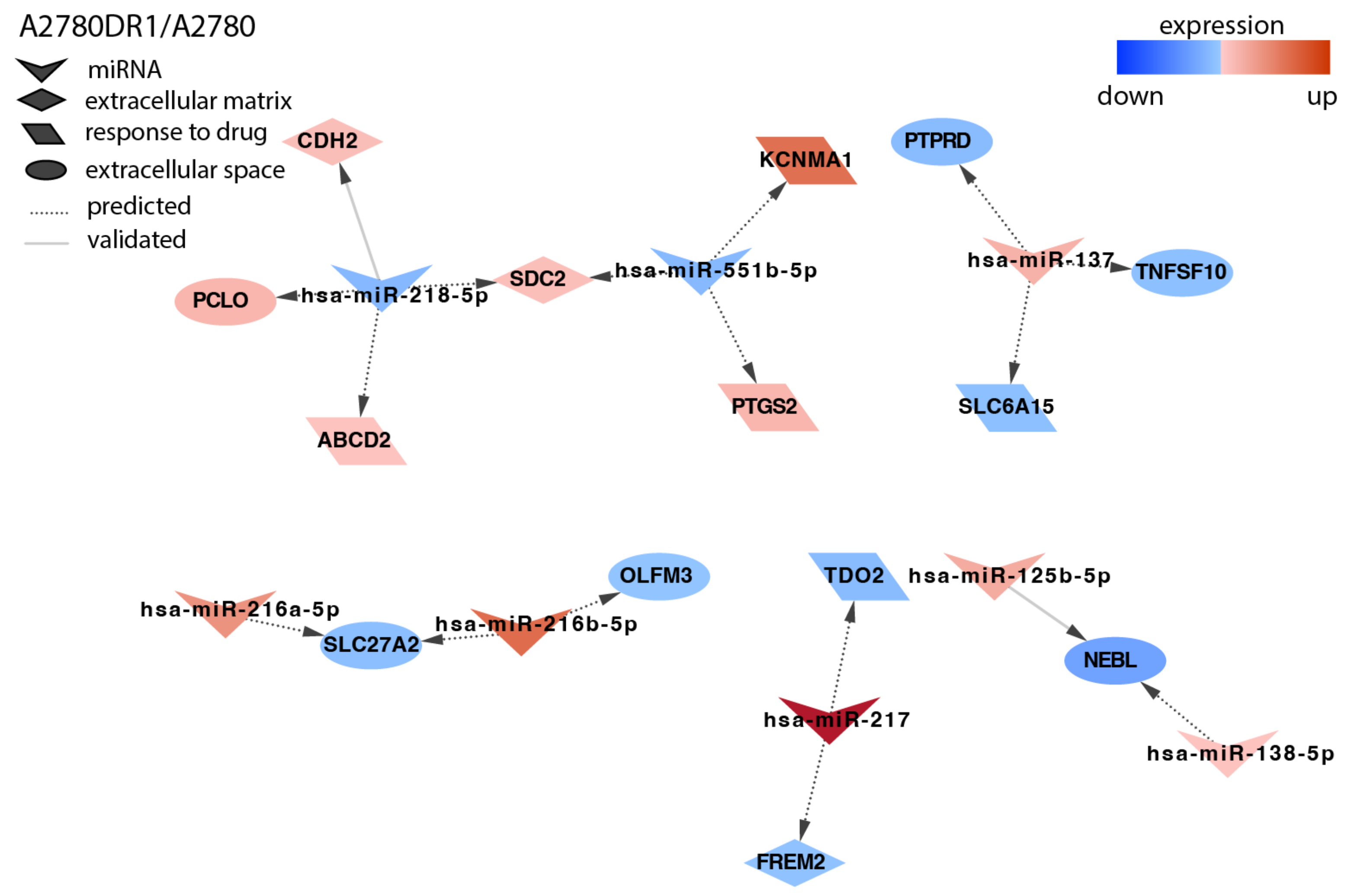 Ijms 23 05846 g003 550