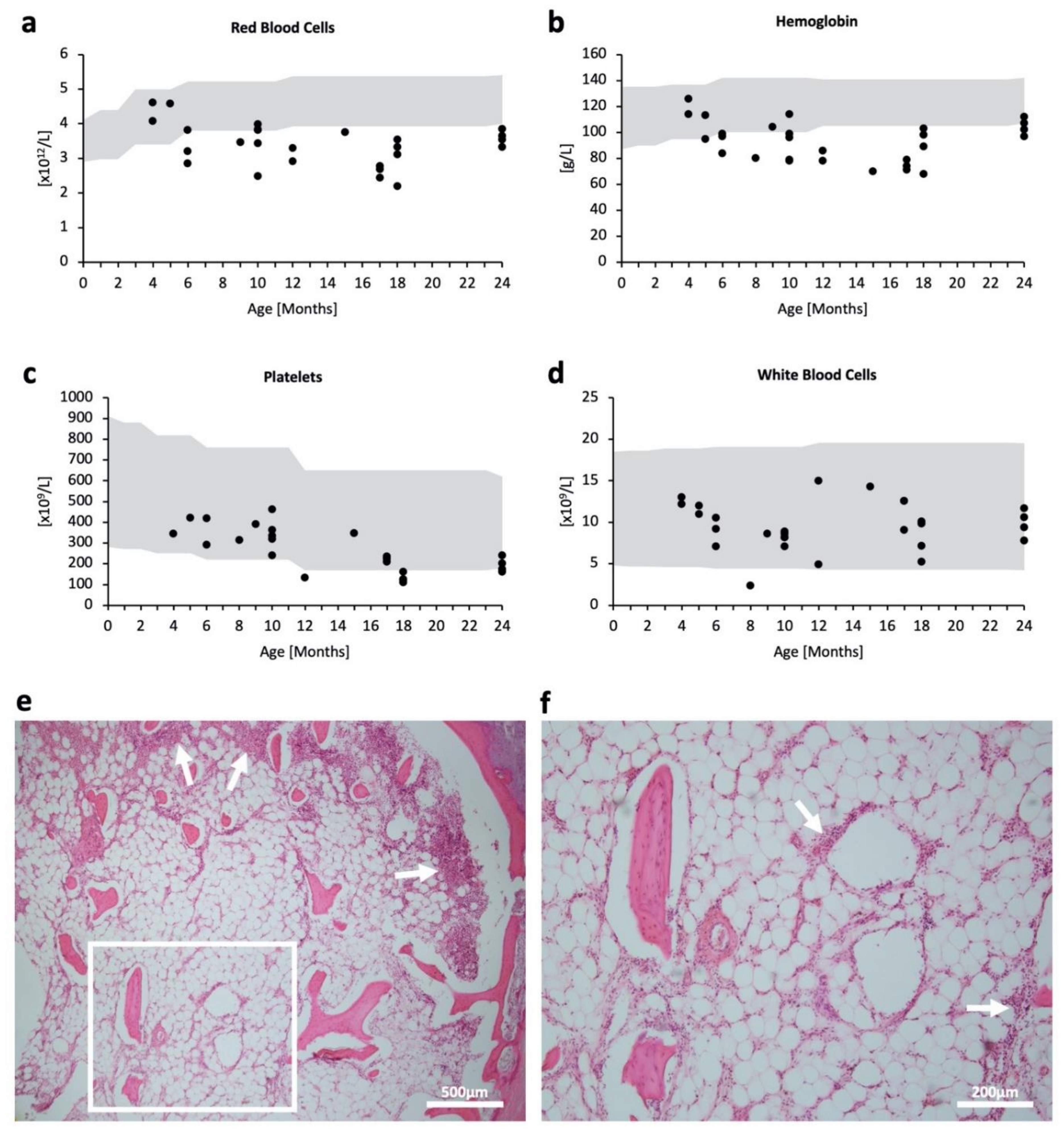 Ijms 23 05851 g001 550