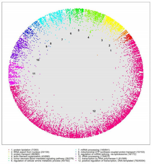 Analysis of Huntington’s Disease Modifiers Using the 