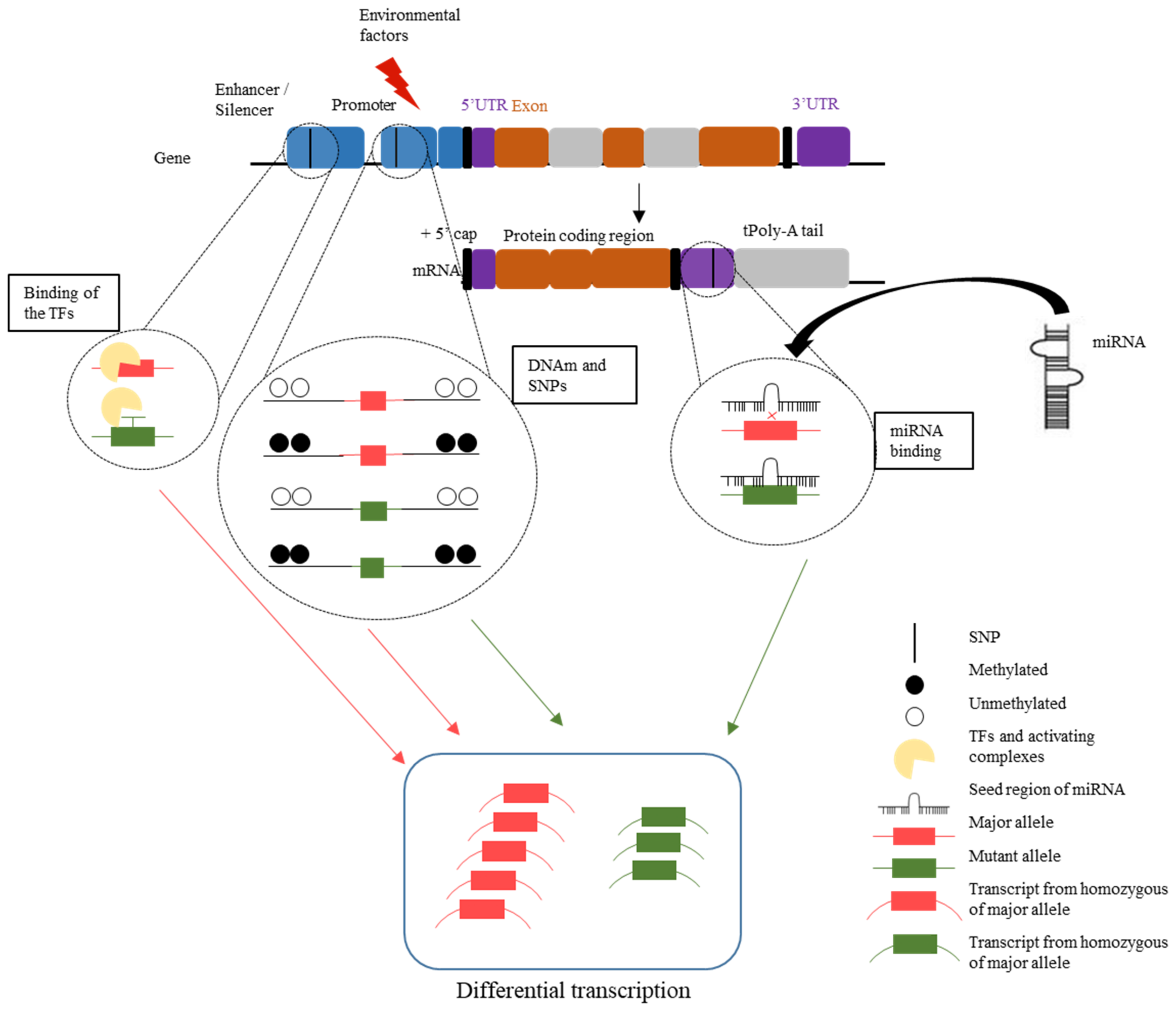 Ijms 23 05856 g004 550