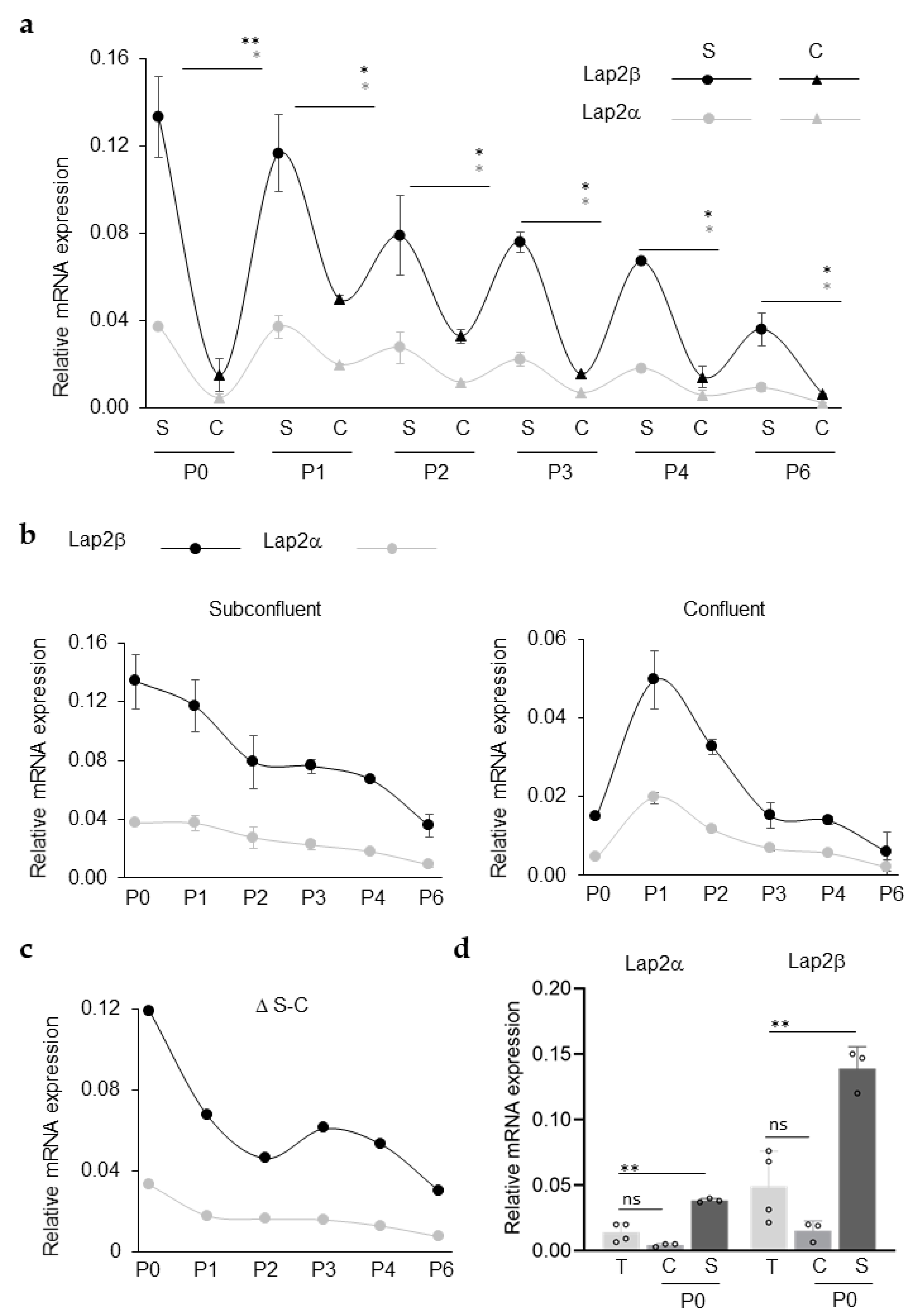IJMS | Free Full-Text | Fluctuations in Corneal Endothelial LAP2 Expression  Levels Correlate with Passage Dependent Declines in Their Cell  Proliferative Activity | HTML