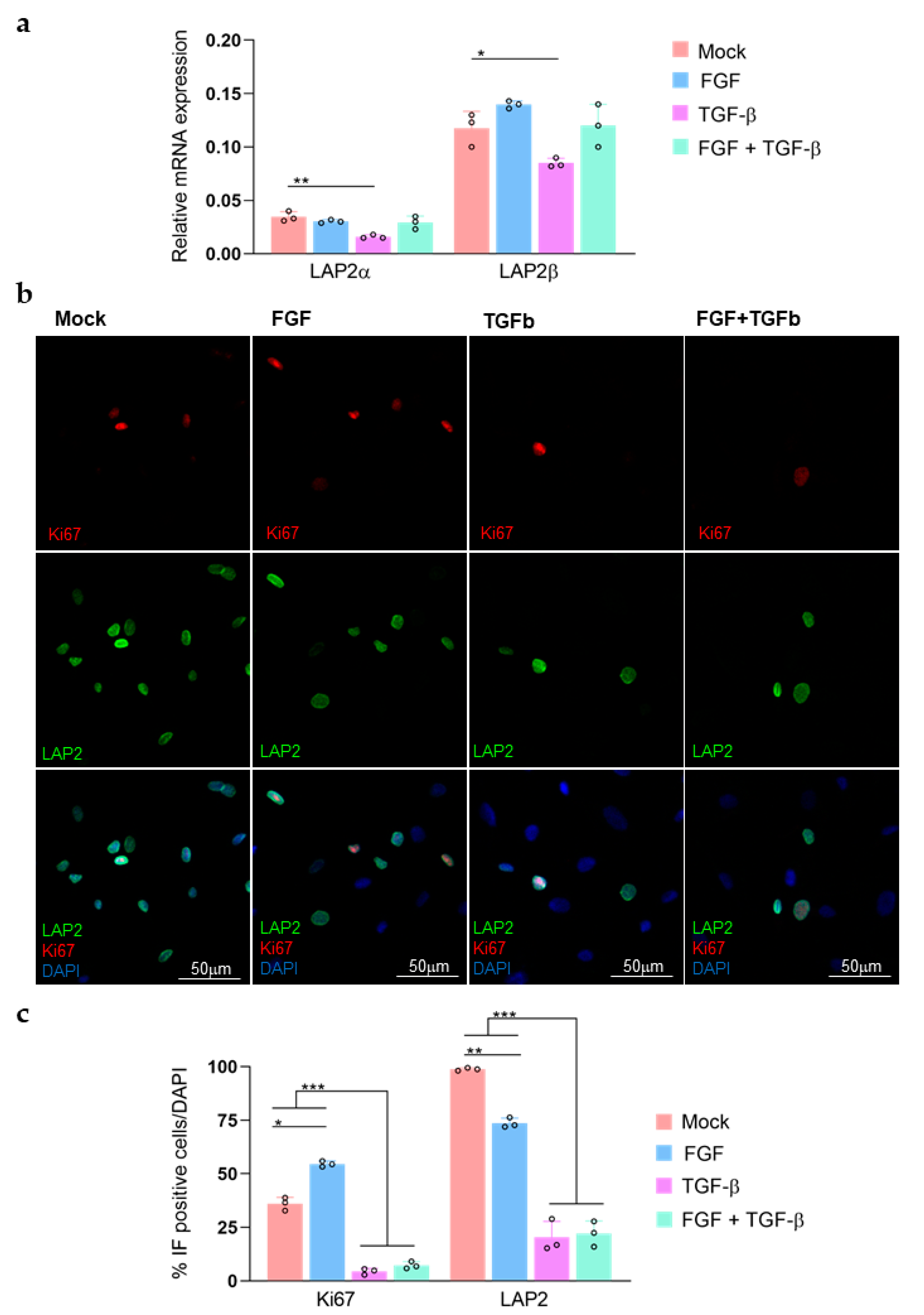 Ijms 23 05859 g003 550