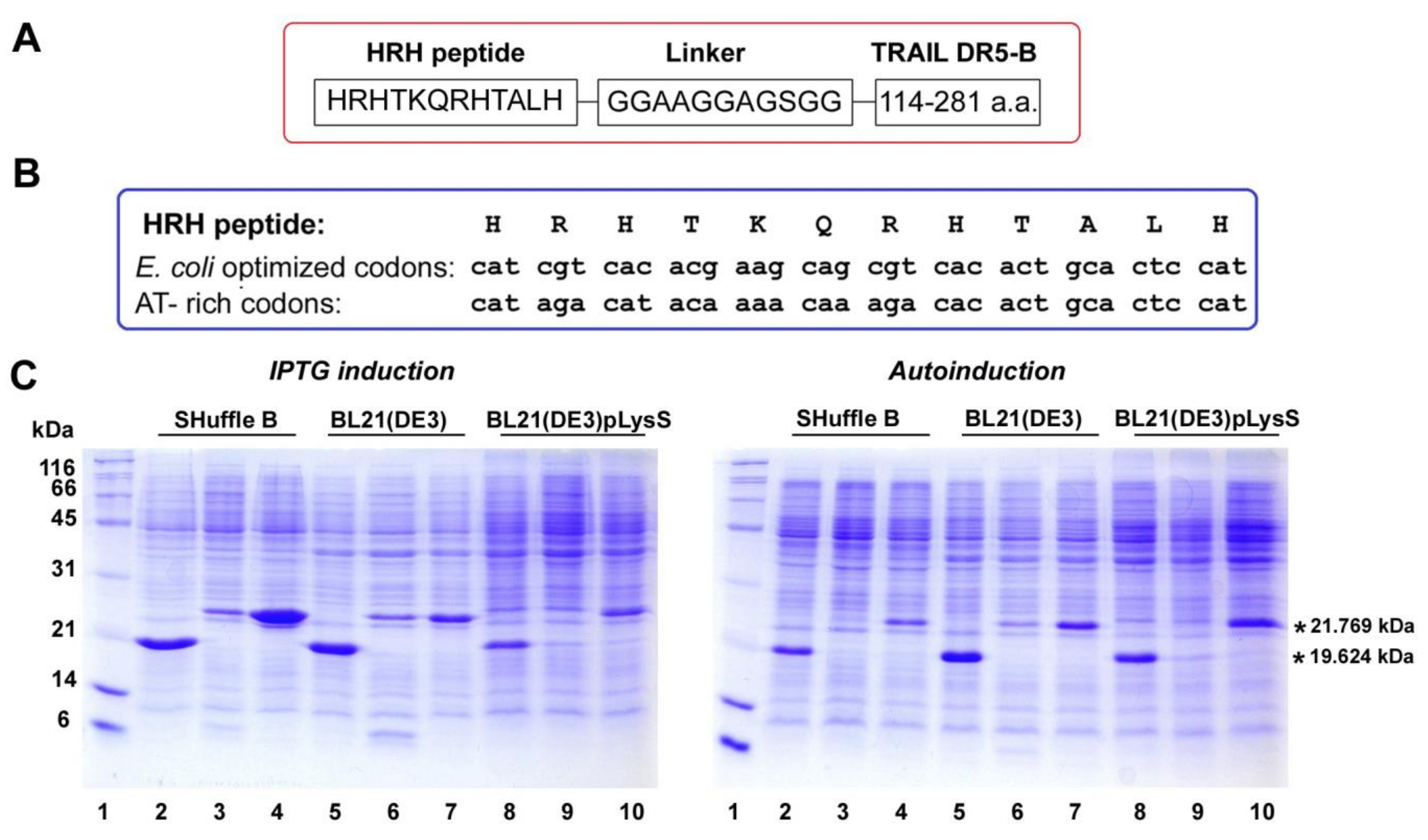 Ijms 23 05860 g001 Ijms 23 05860 g001