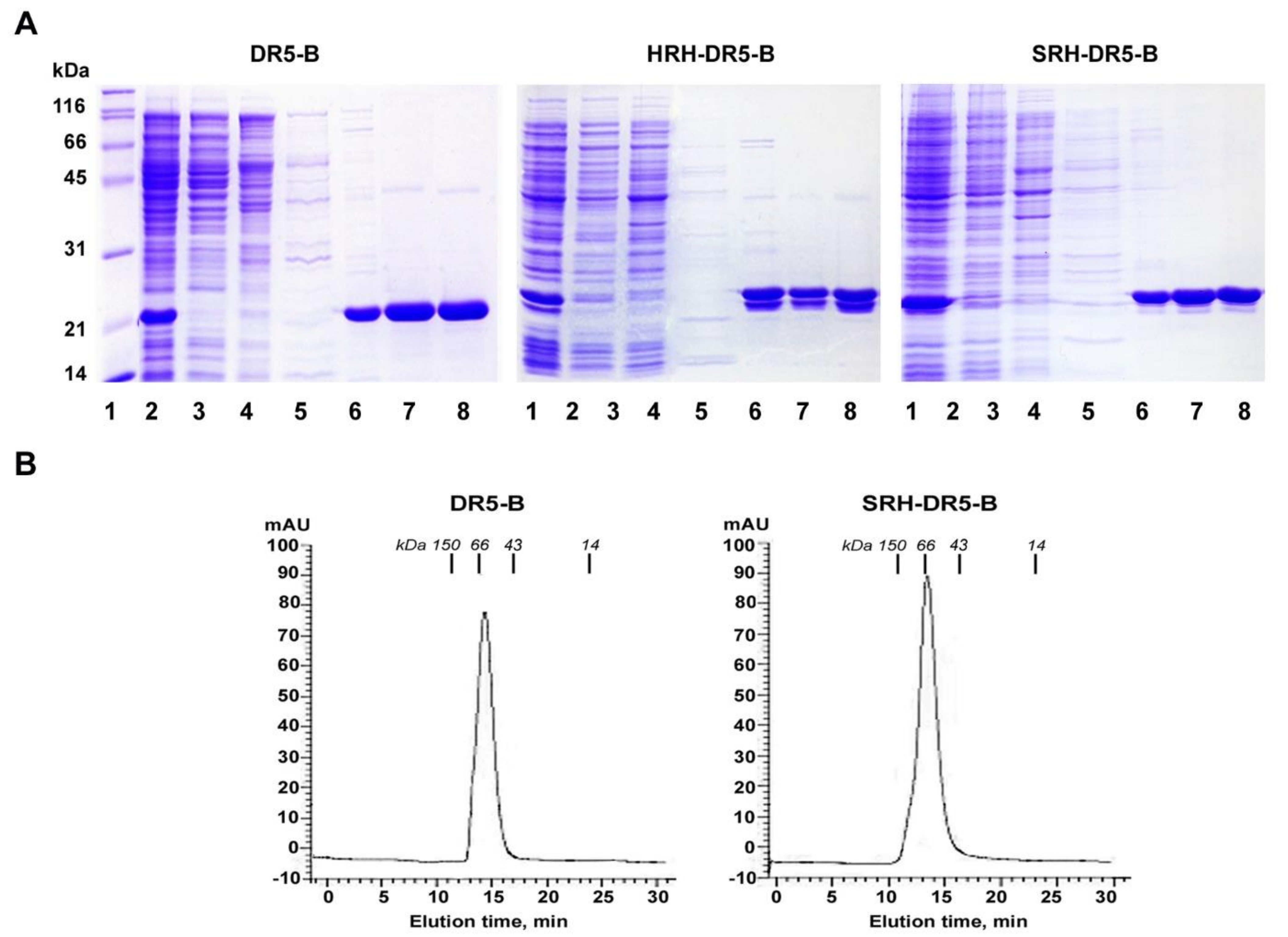 Ijms 23 05860 g002 Ijms 23 05860 g002