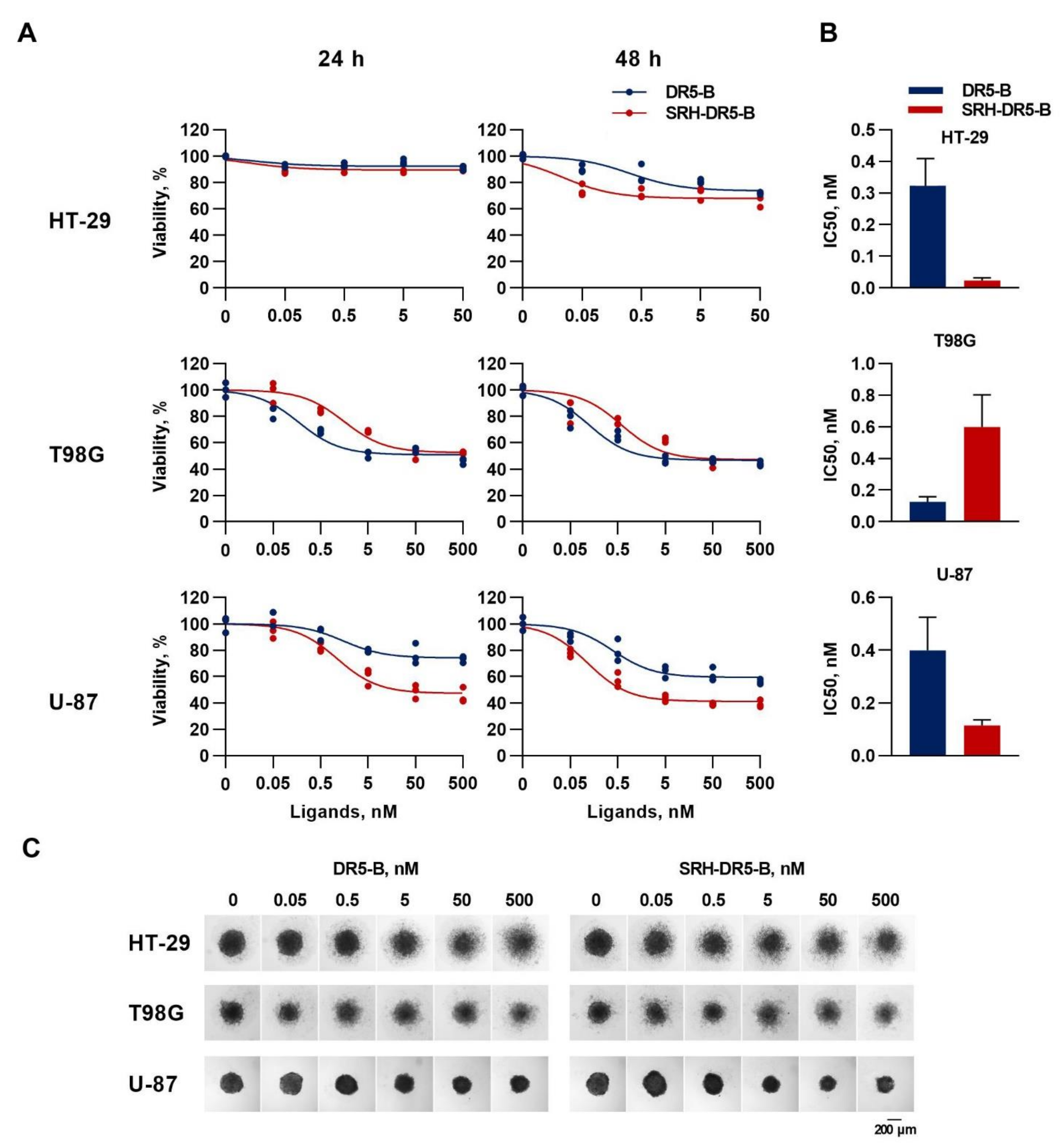 Ijms 23 05860 g005 Ijms 23 05860 g005