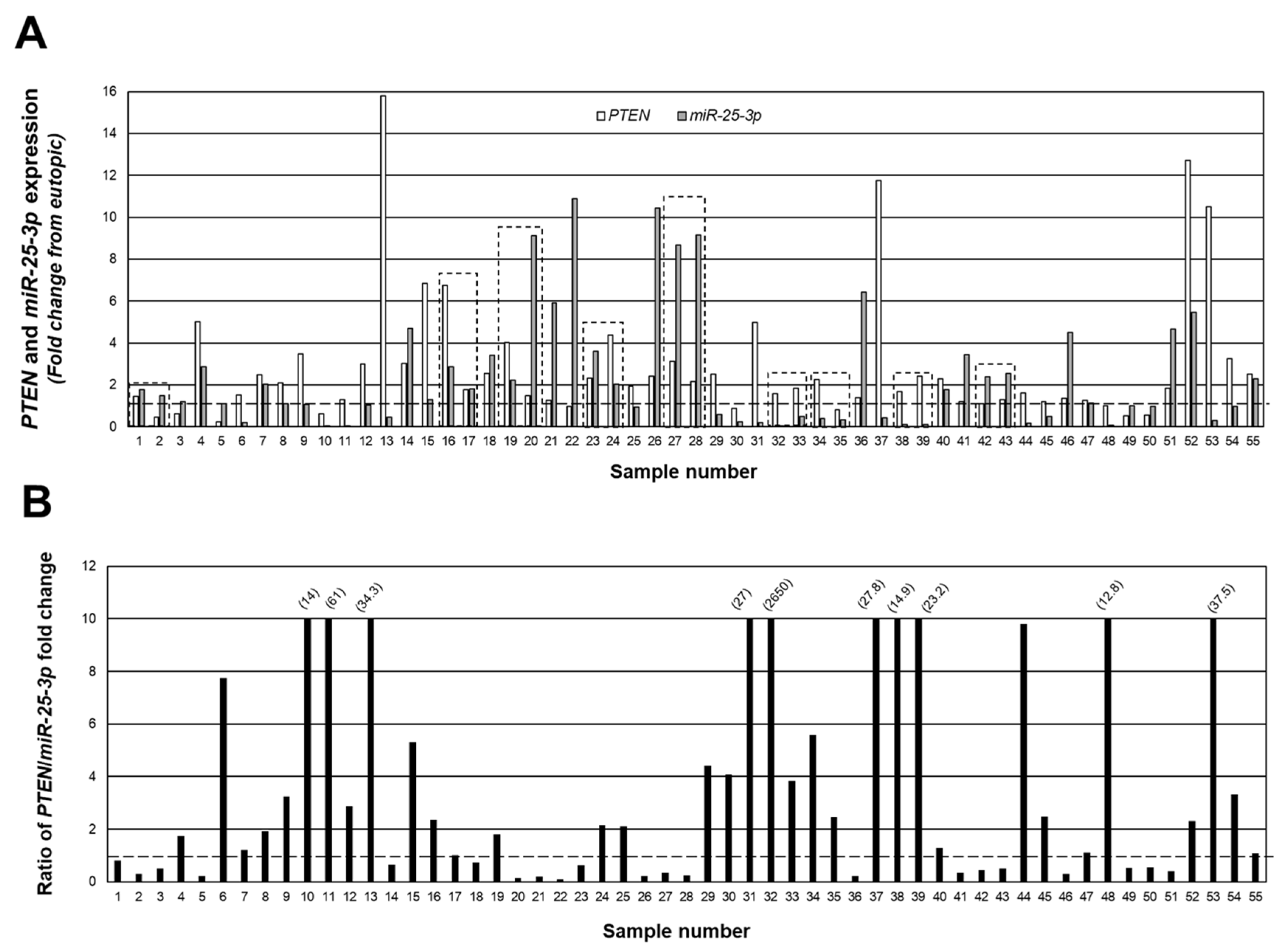 Ijms 23 05862 g003 550