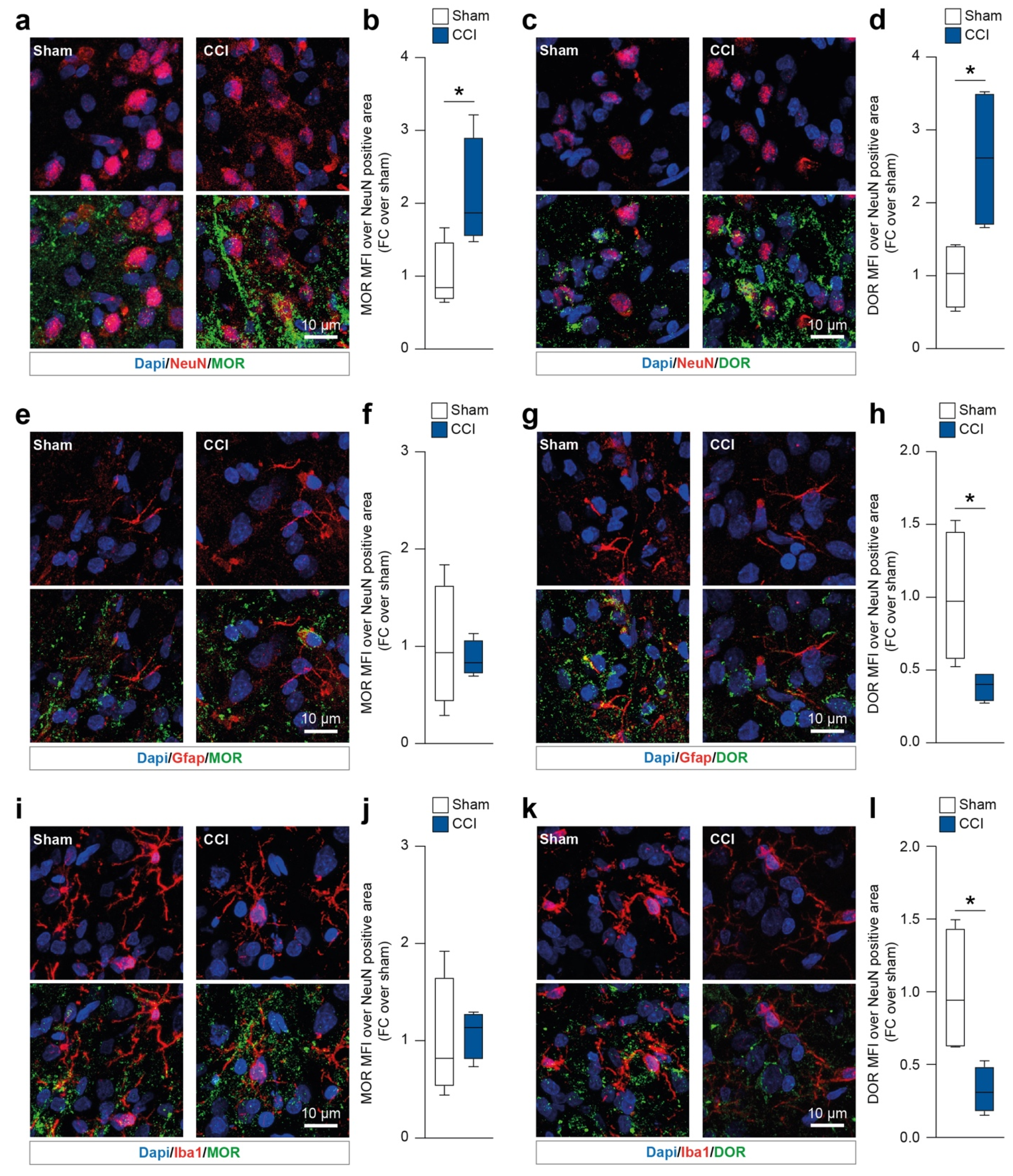 Ijms 23 05864 g002 550
