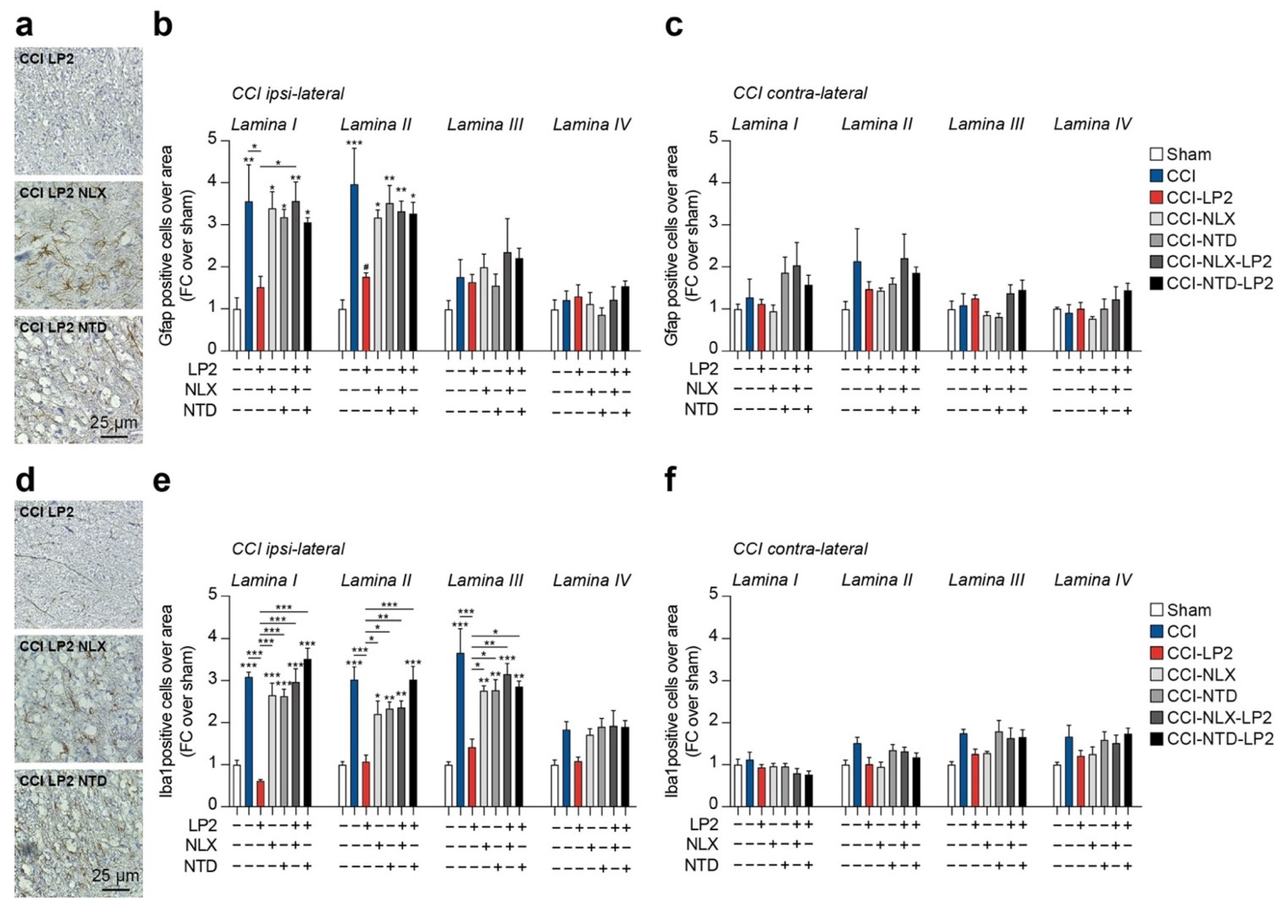 Ijms 23 05864 g004 550