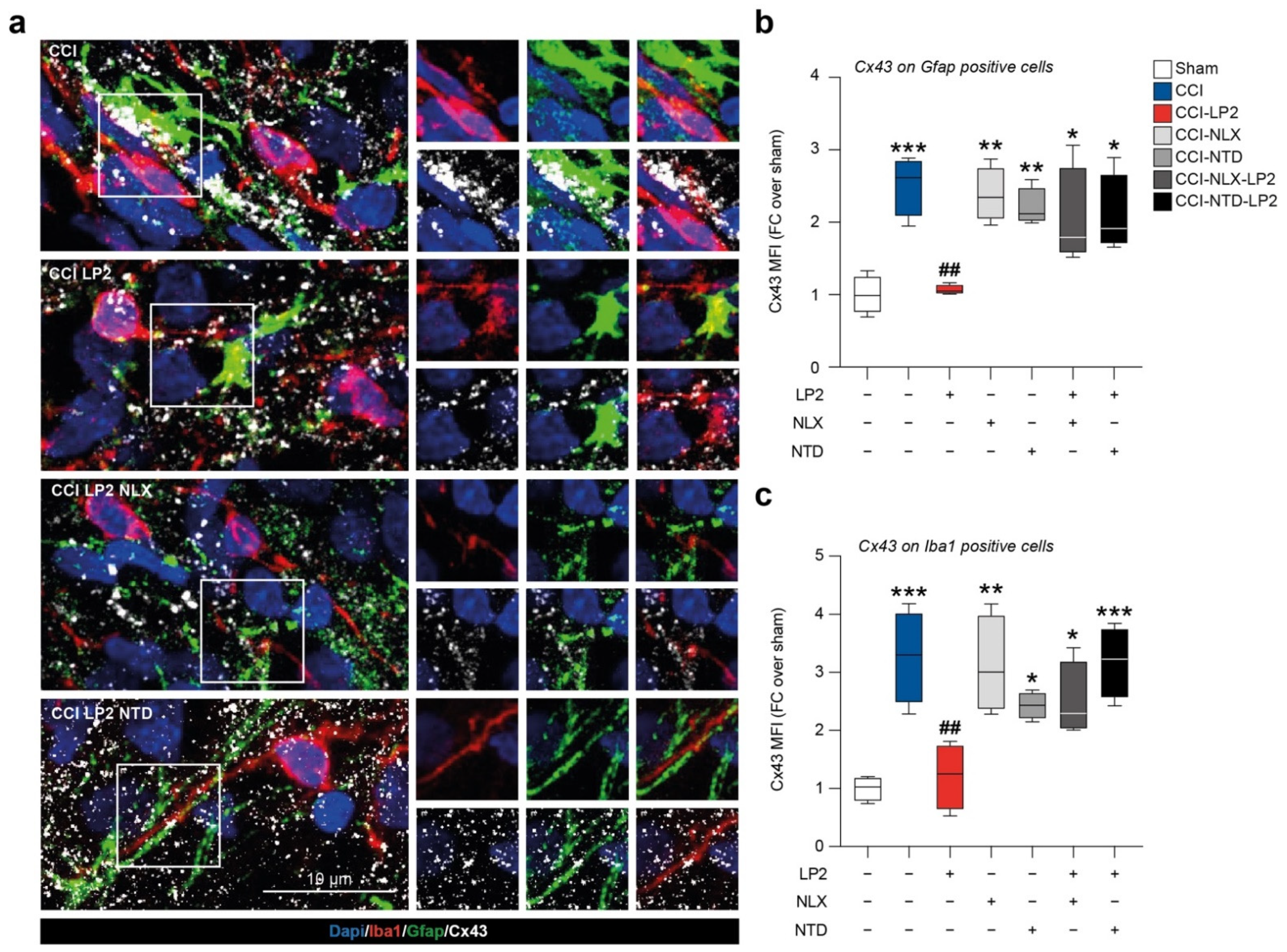 Ijms 23 05864 g005 550