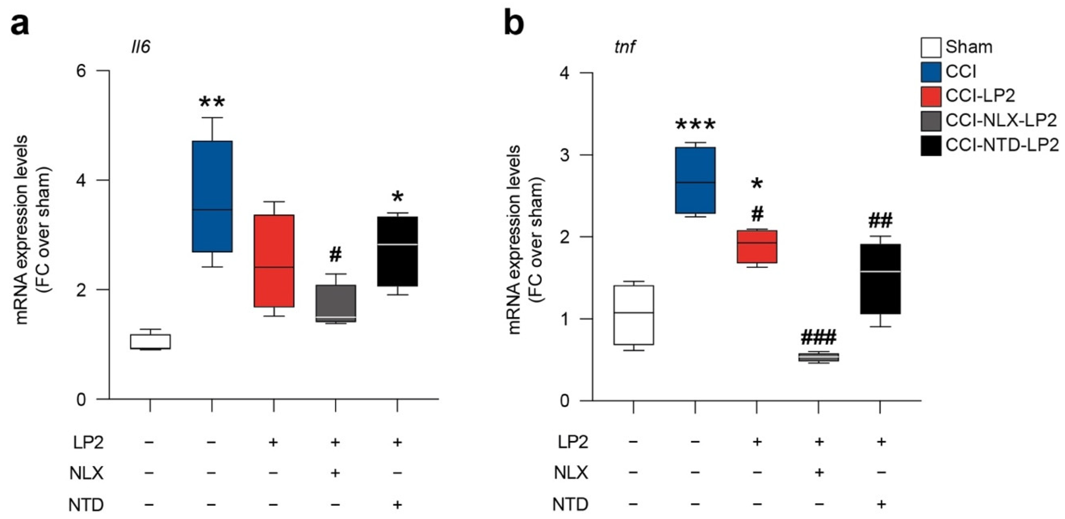 Ijms 23 05864 g006 550