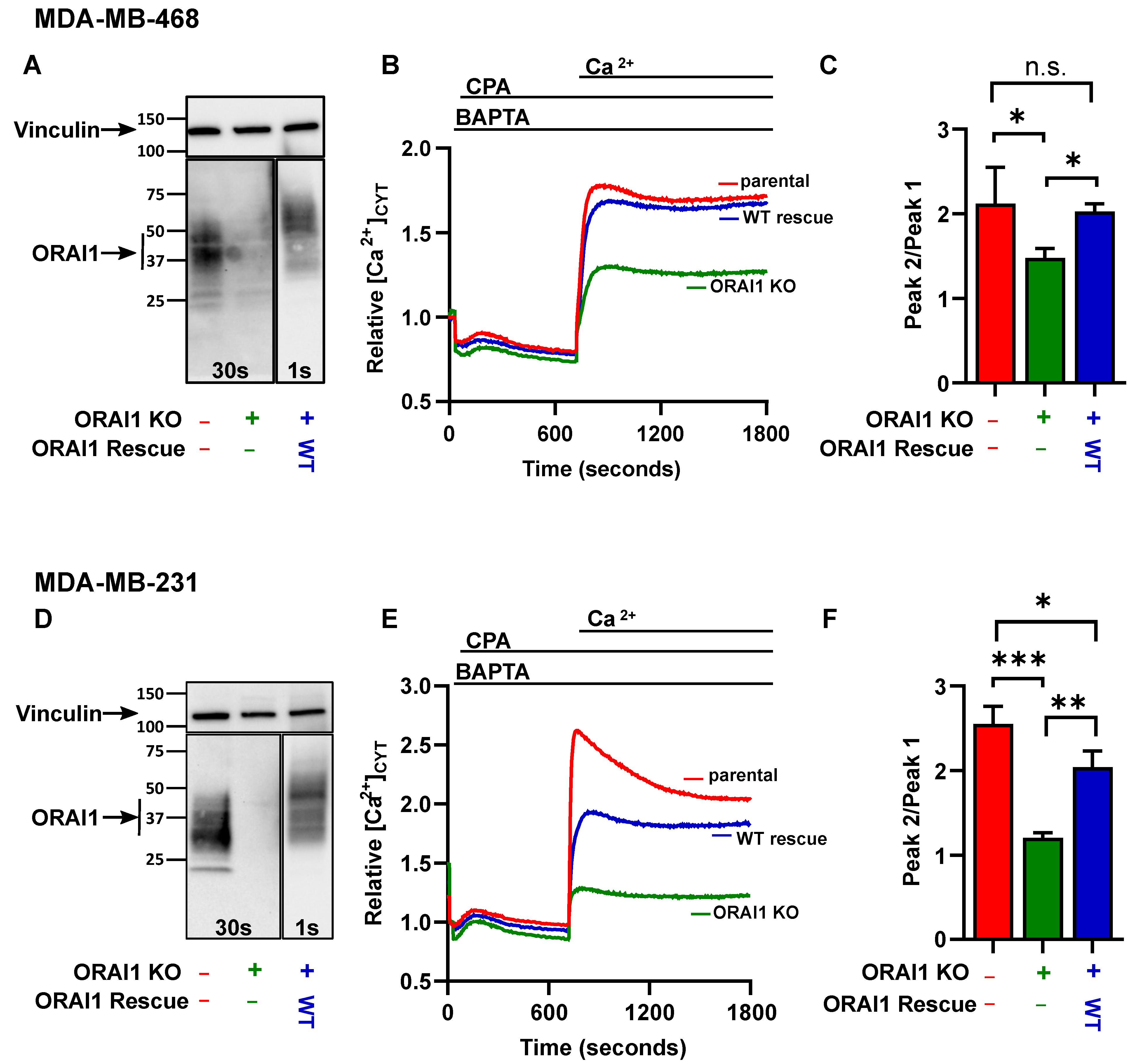 Ijms 23 05867 g001 550