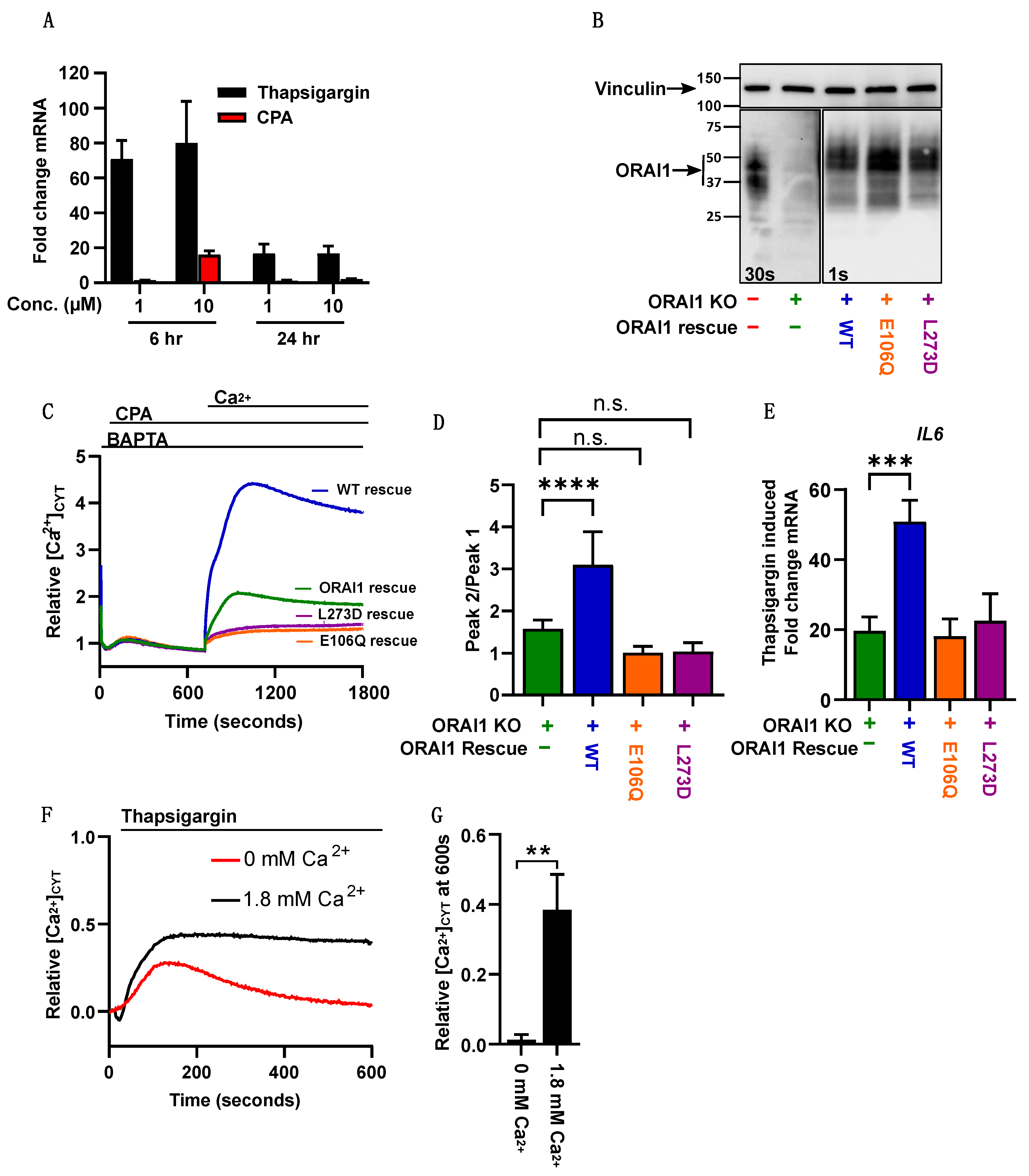 Ijms 23 05867 g004 550