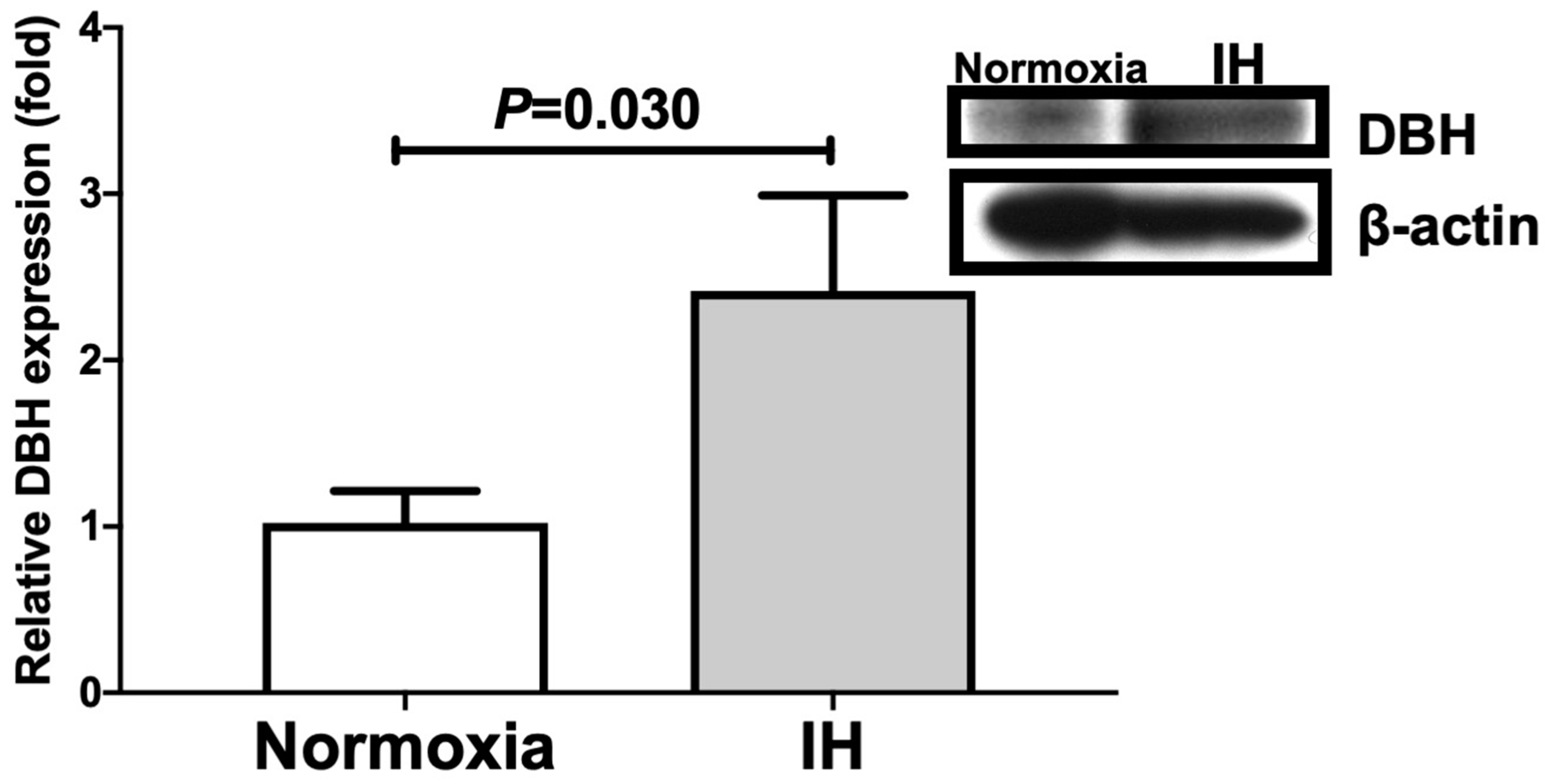 Ijms 23 05868 g003 Ijms 23 05868 g003