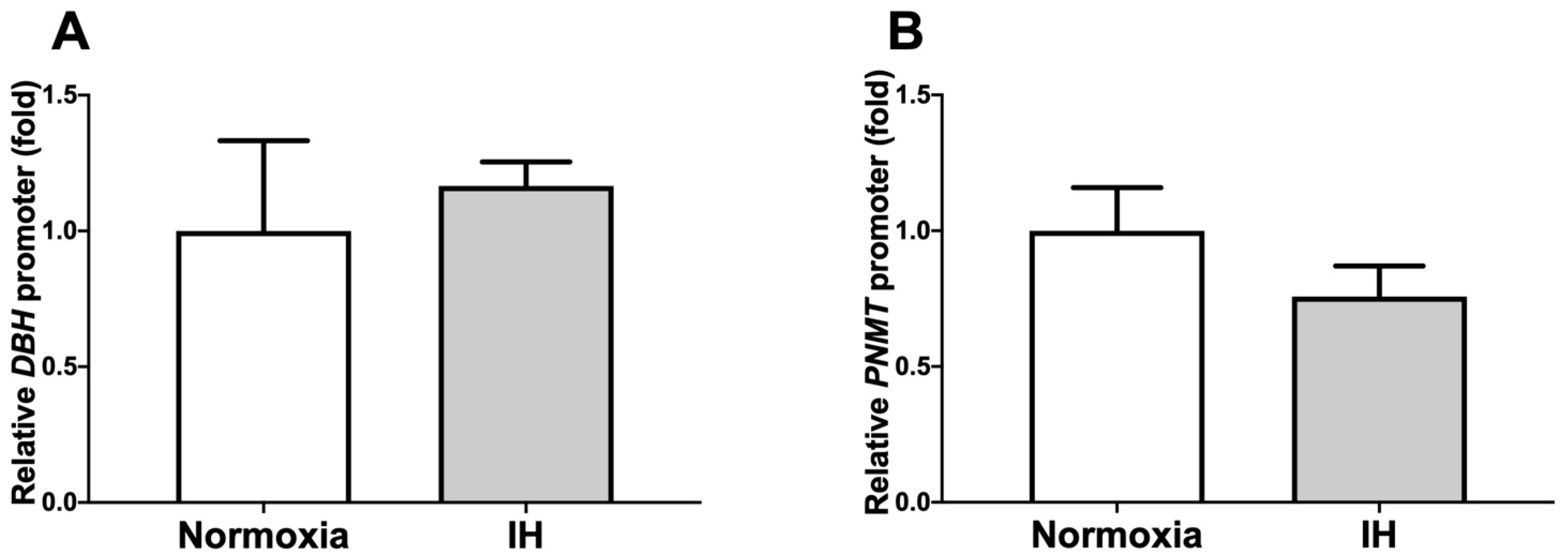 Ijms 23 05868 g005 Ijms 23 05868 g005