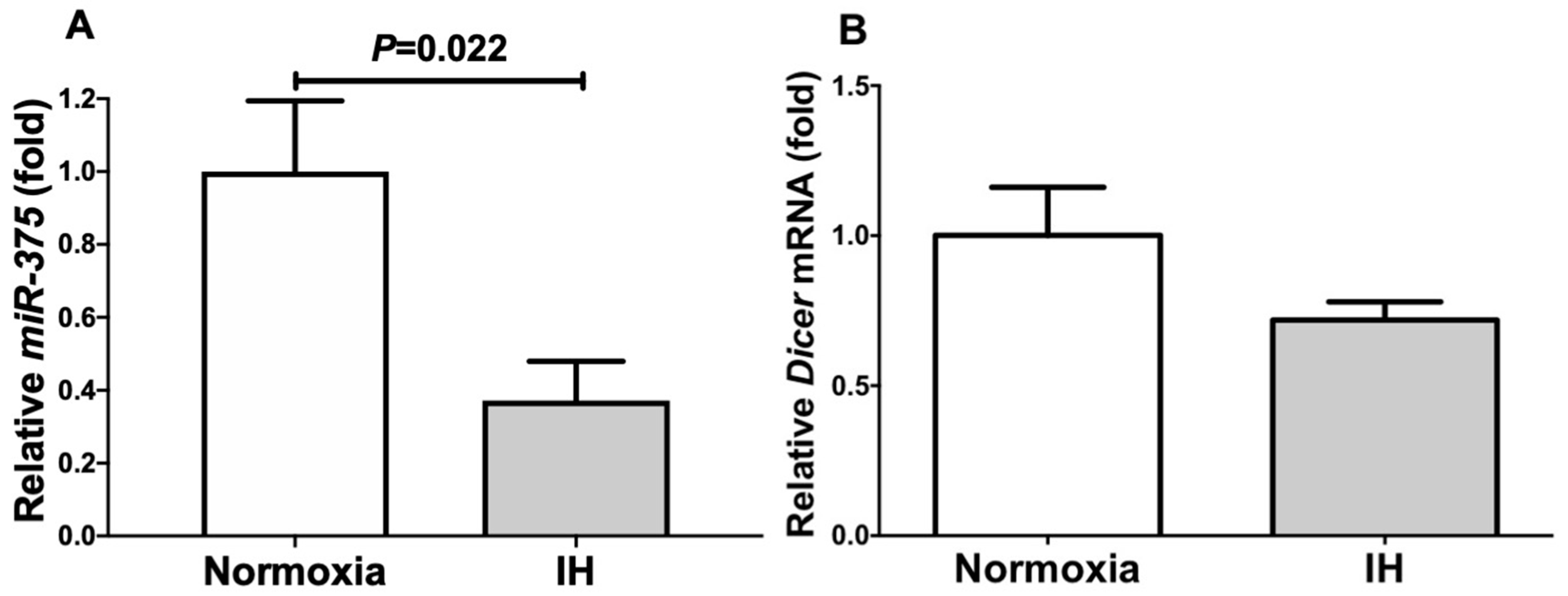 Ijms 23 05868 g006 Ijms 23 05868 g006