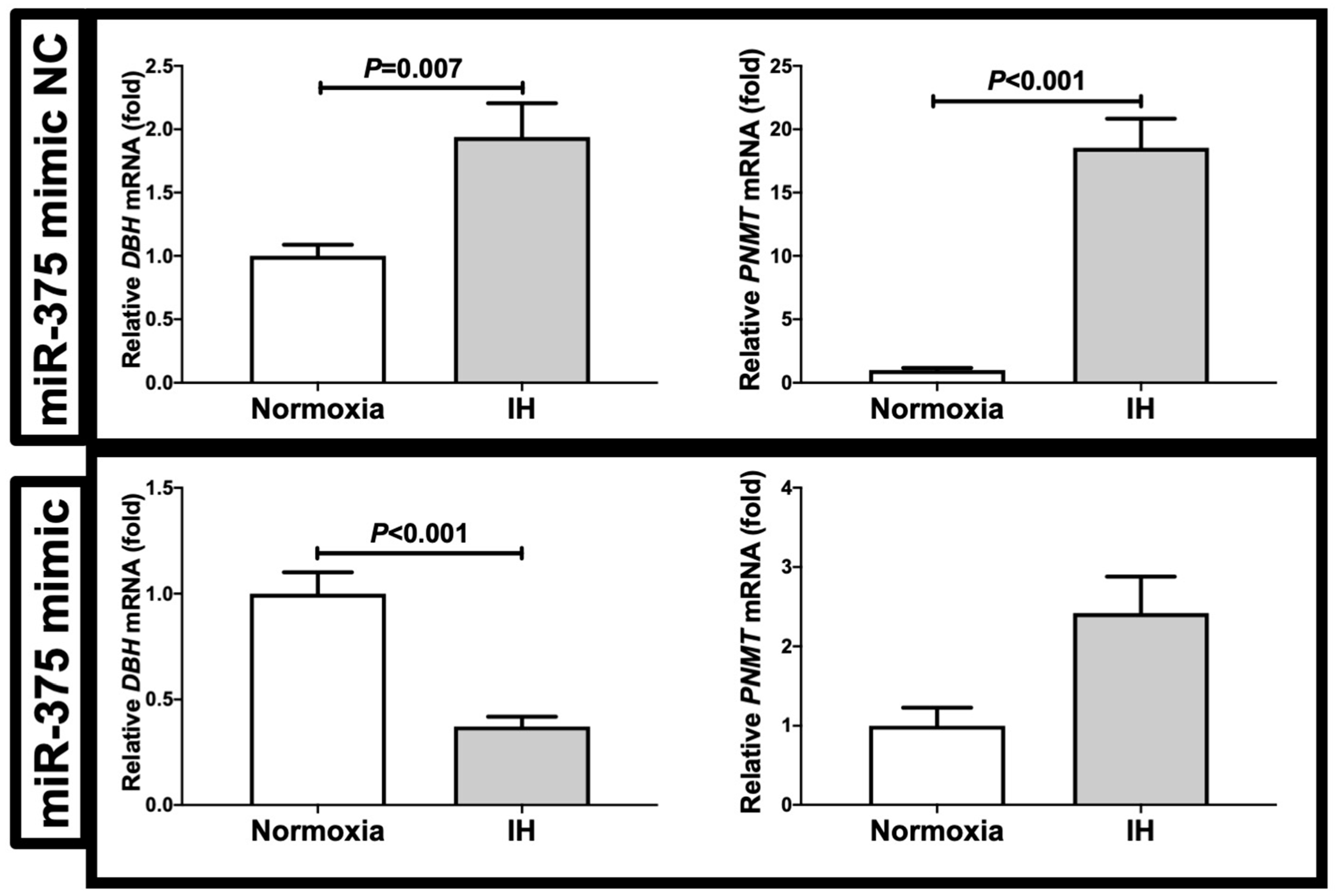 Ijms 23 05868 g007 Ijms 23 05868 g007