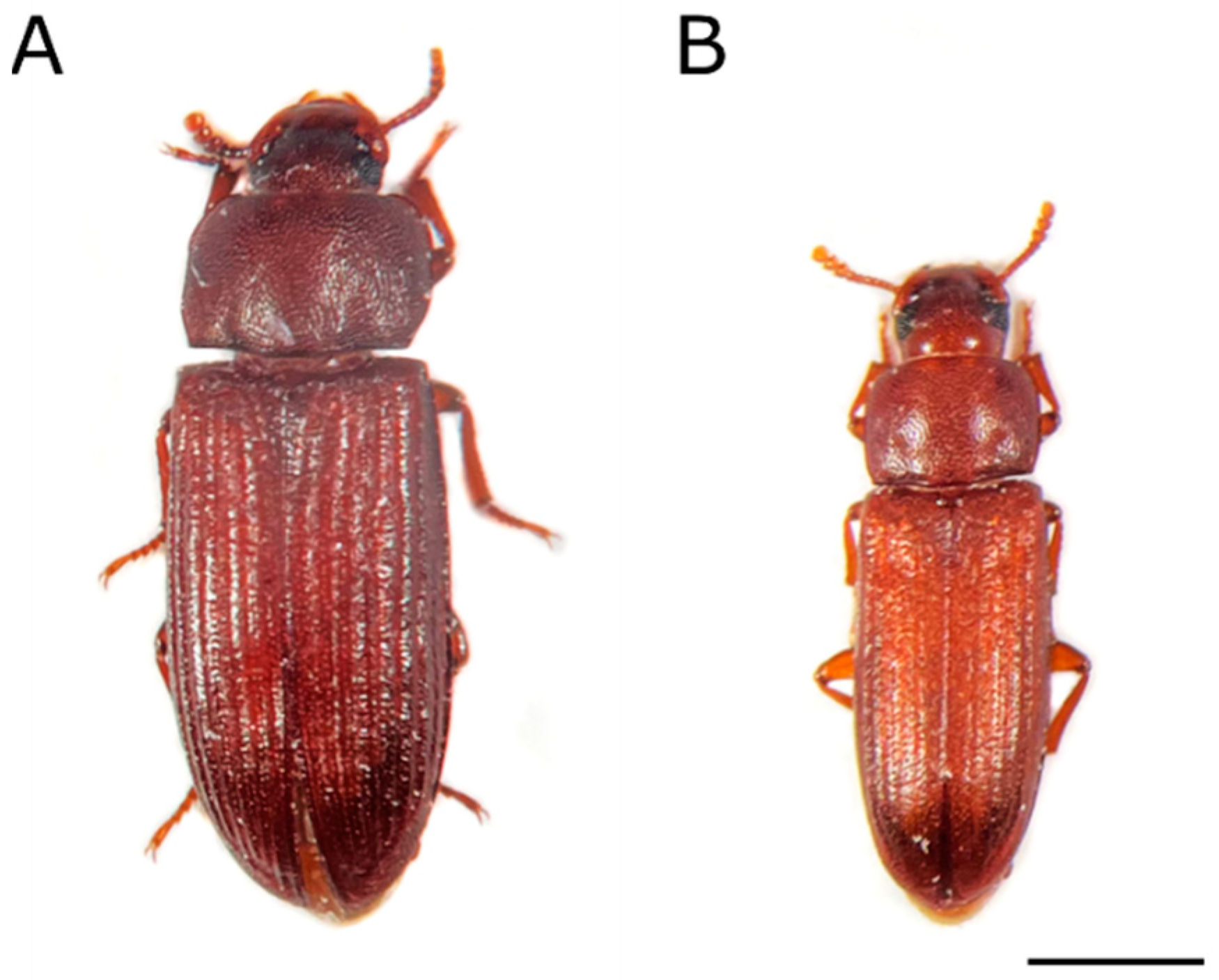 Ijms 23 05869 g001 550