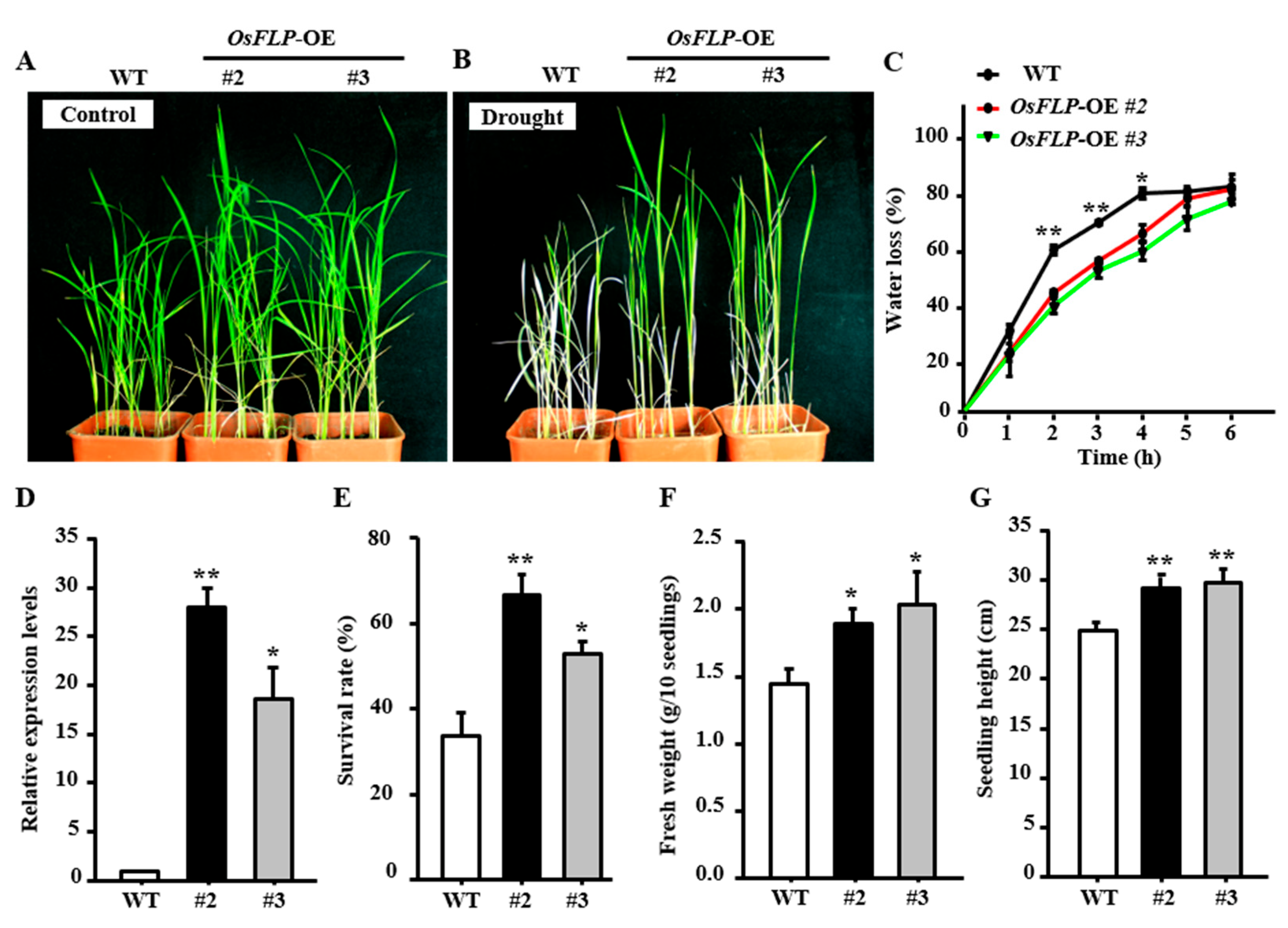 Ijms 23 05873 g003 550