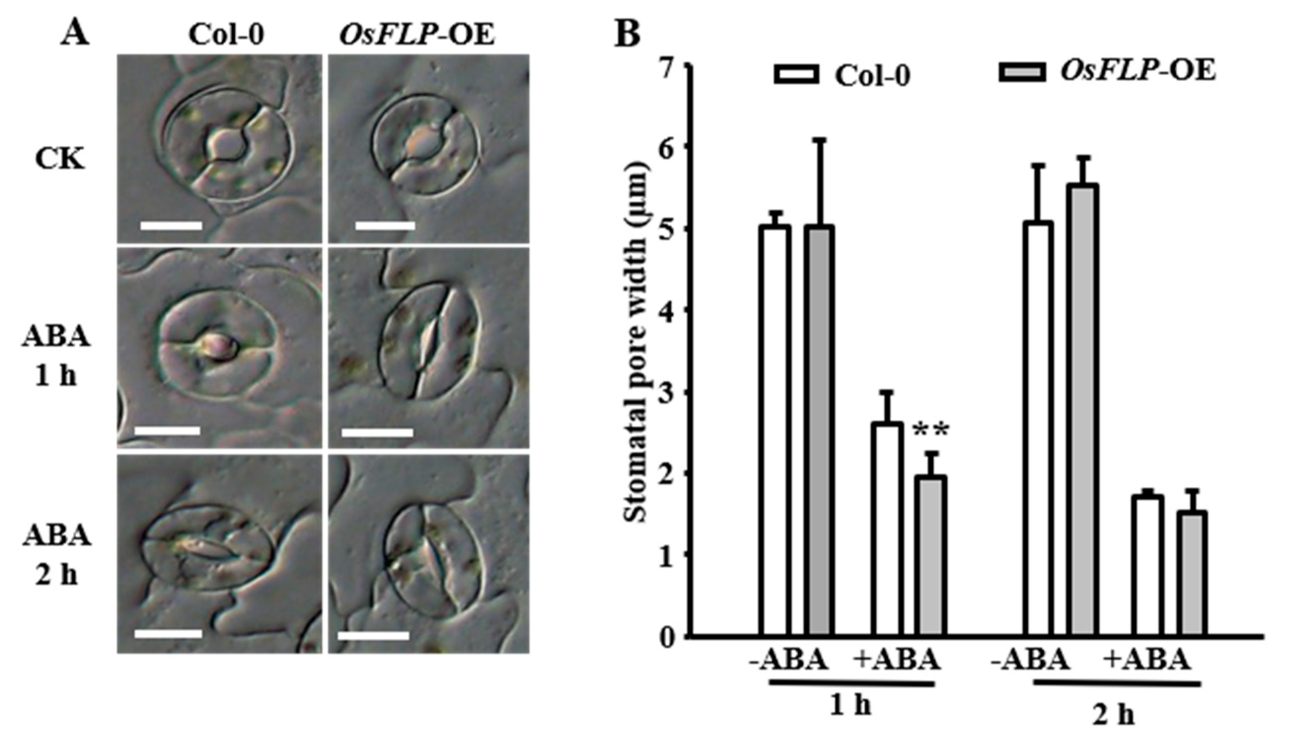 Ijms 23 05873 g005 550