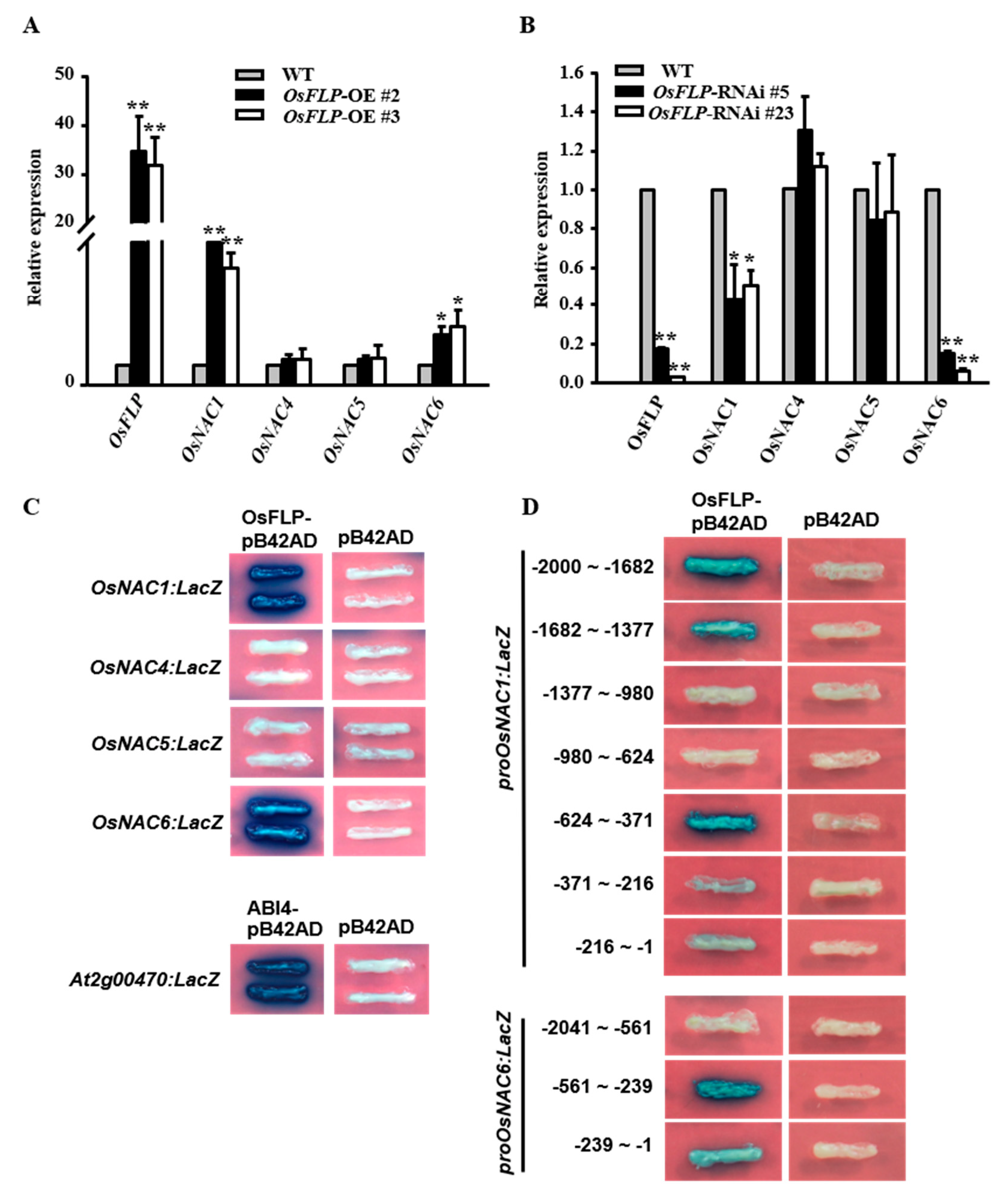 Ijms 23 05873 g006 550