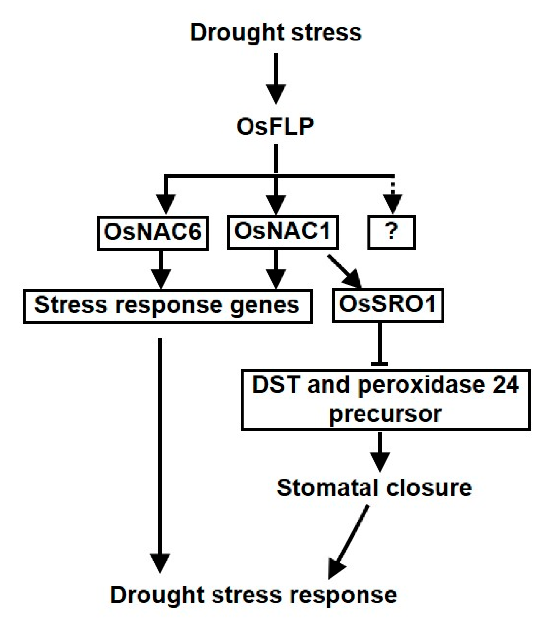 Ijms 23 05873 g007 550