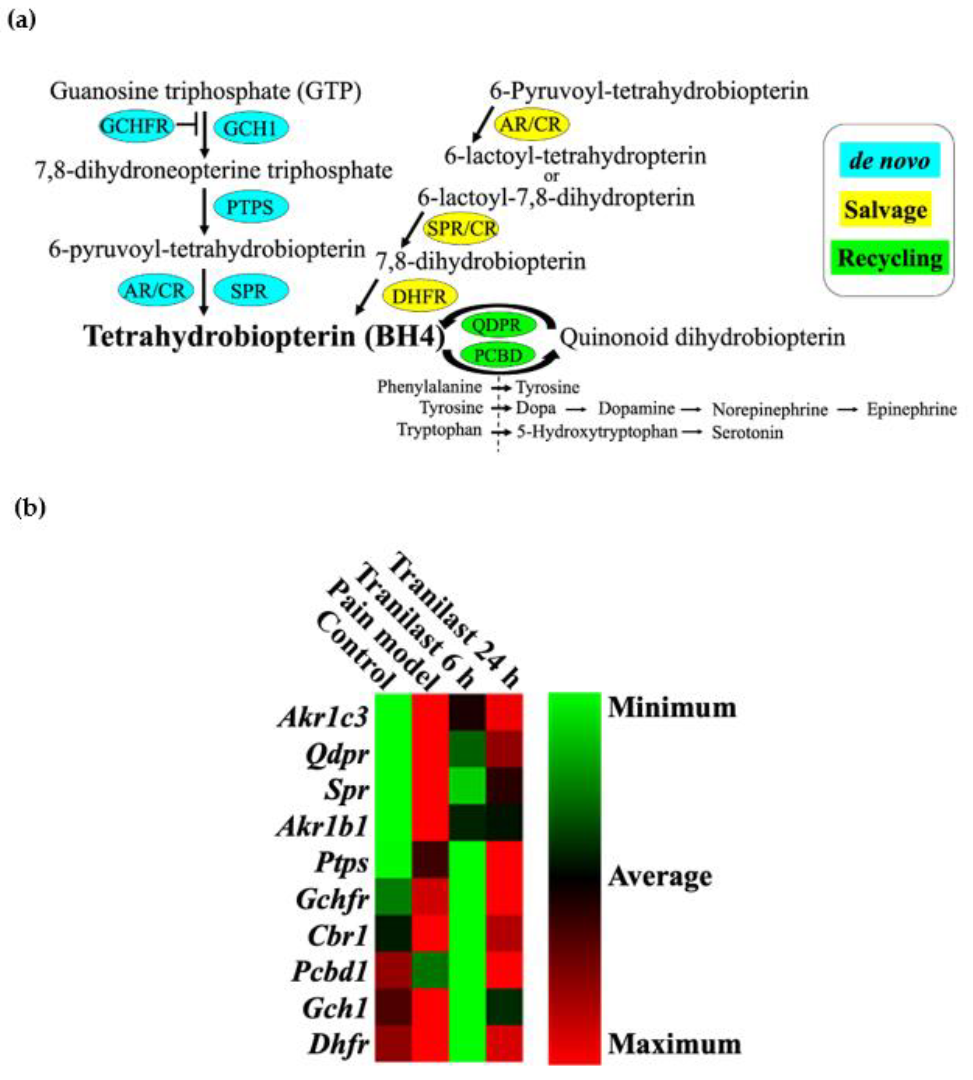 Ijms 23 05878 g006 550