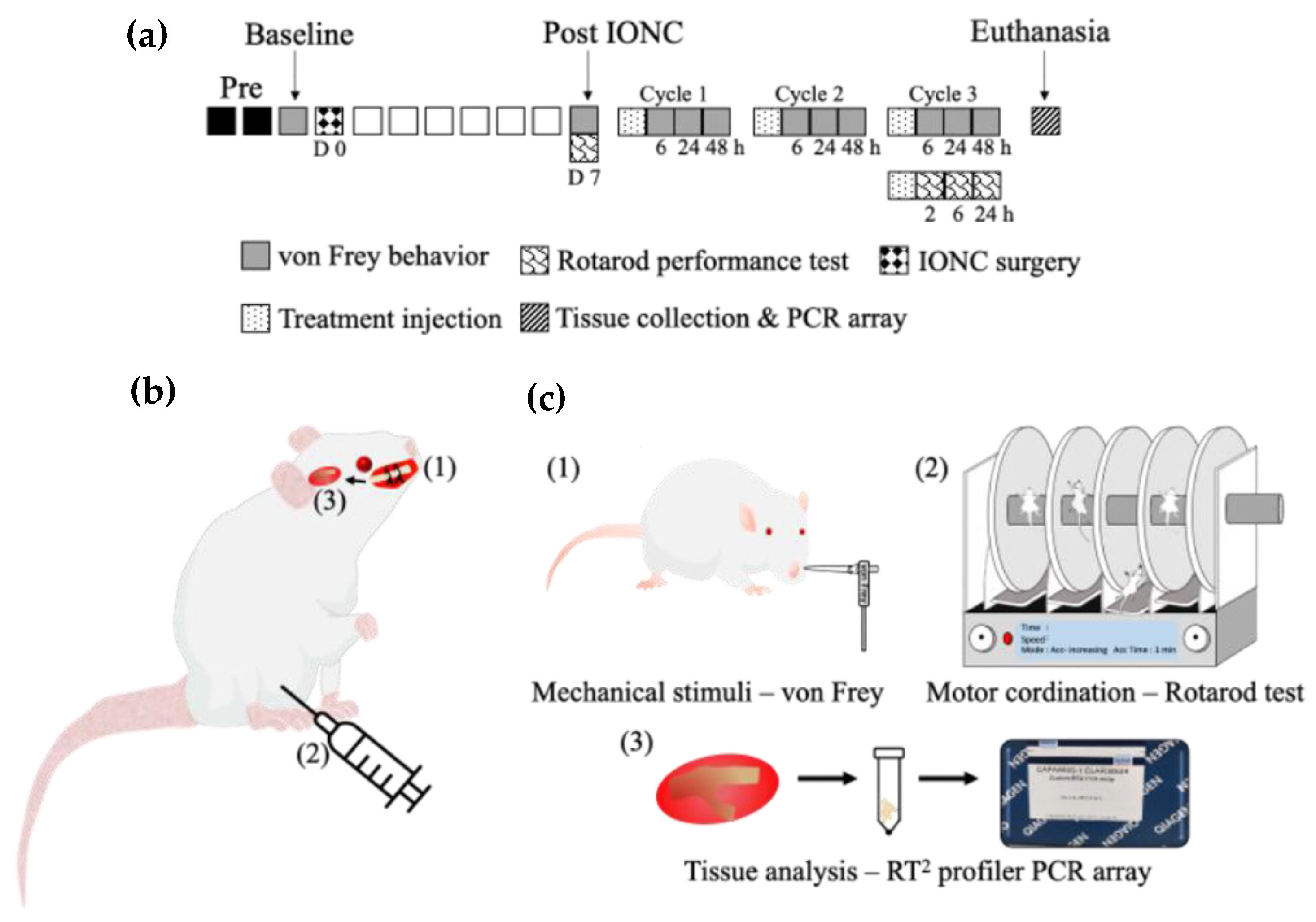 Ijms 23 05878 g008 550
