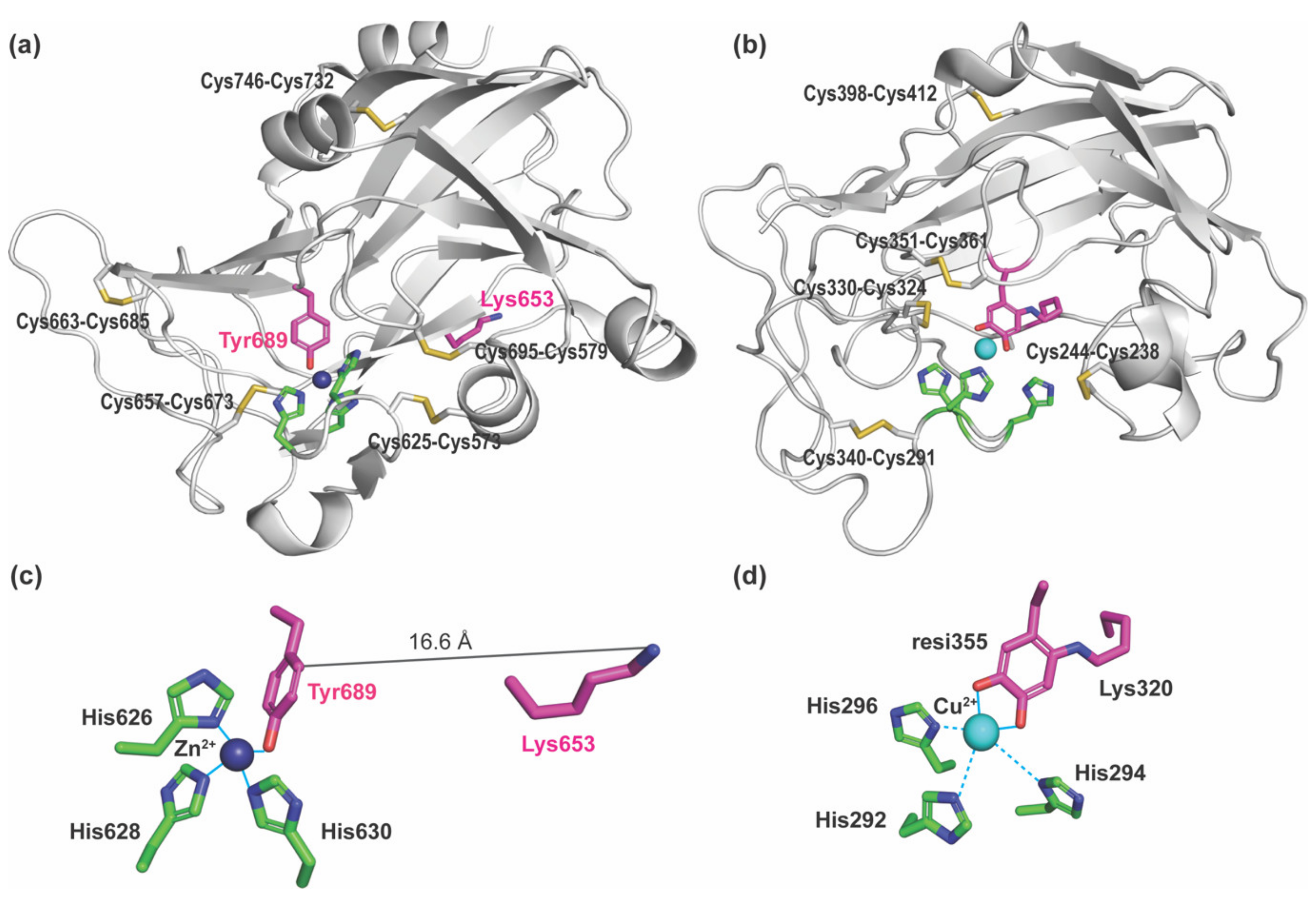 Ijms 23 05879 g002 Ijms 23 05879 g002