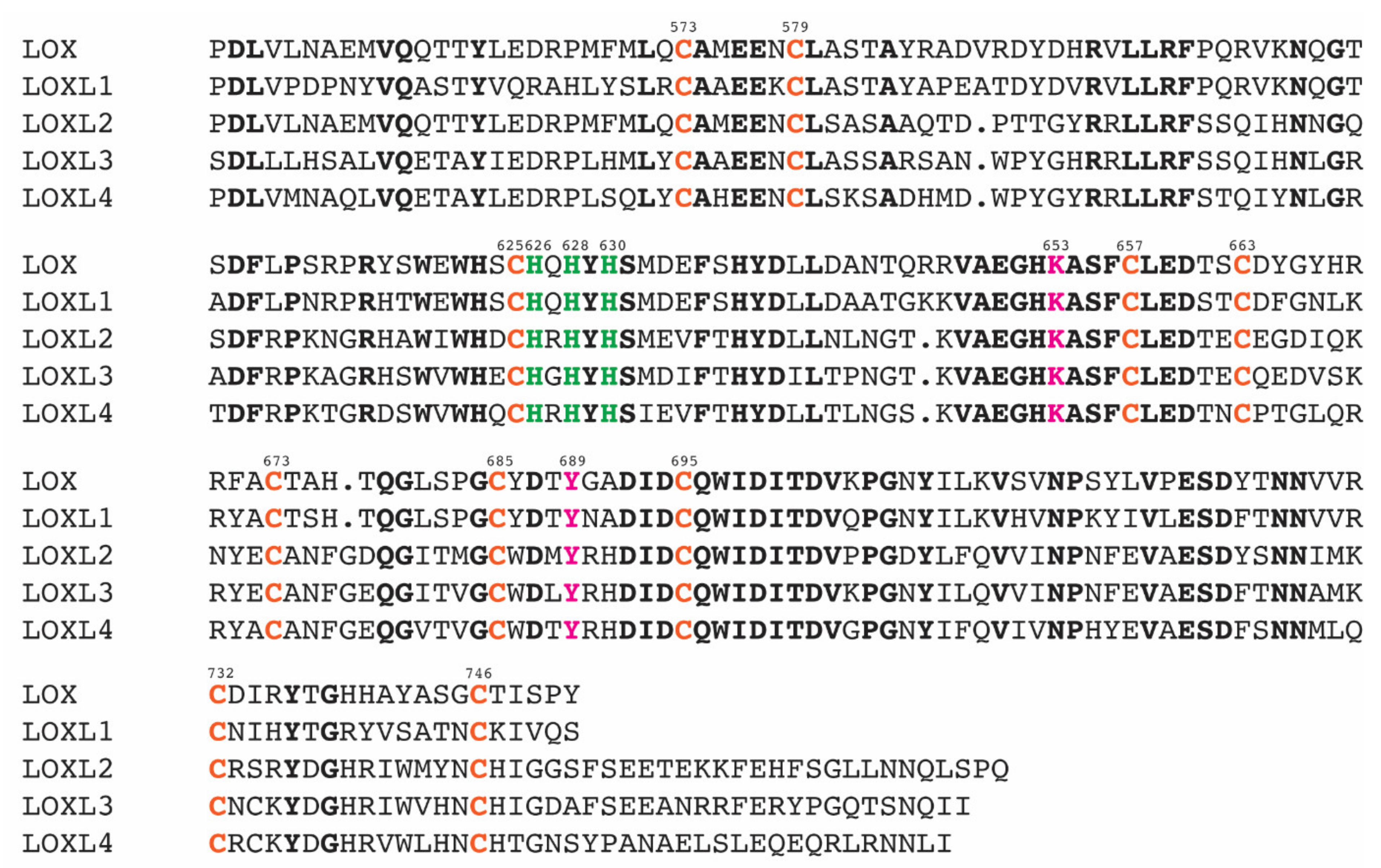 Ijms 23 05879 g003 Ijms 23 05879 g003