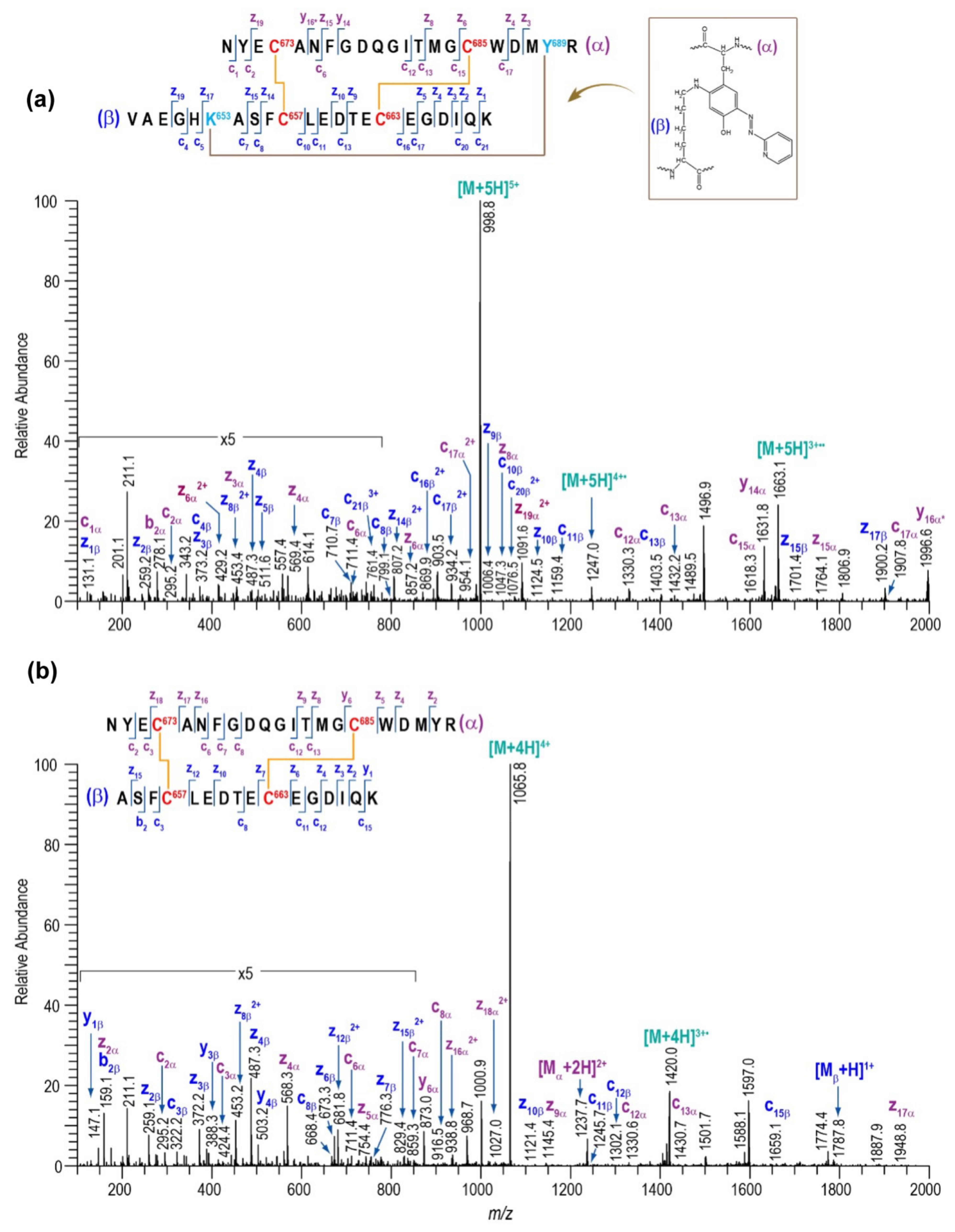 Ijms 23 05879 g006 Ijms 23 05879 g006