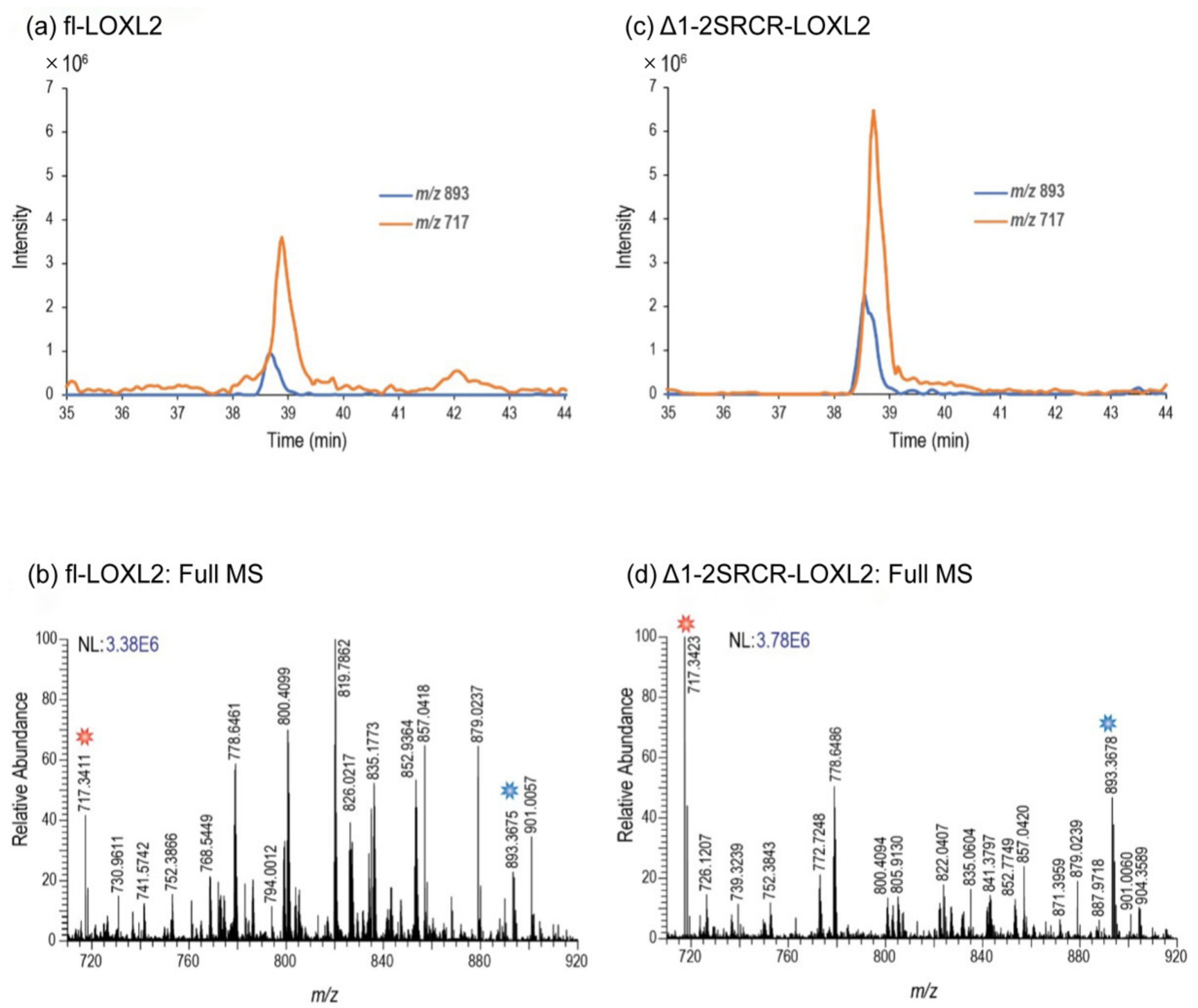 Ijms 23 05879 g007 Ijms 23 05879 g007