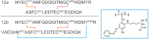 Ijms 23 05879 i012 Ijms 23 05879 i012