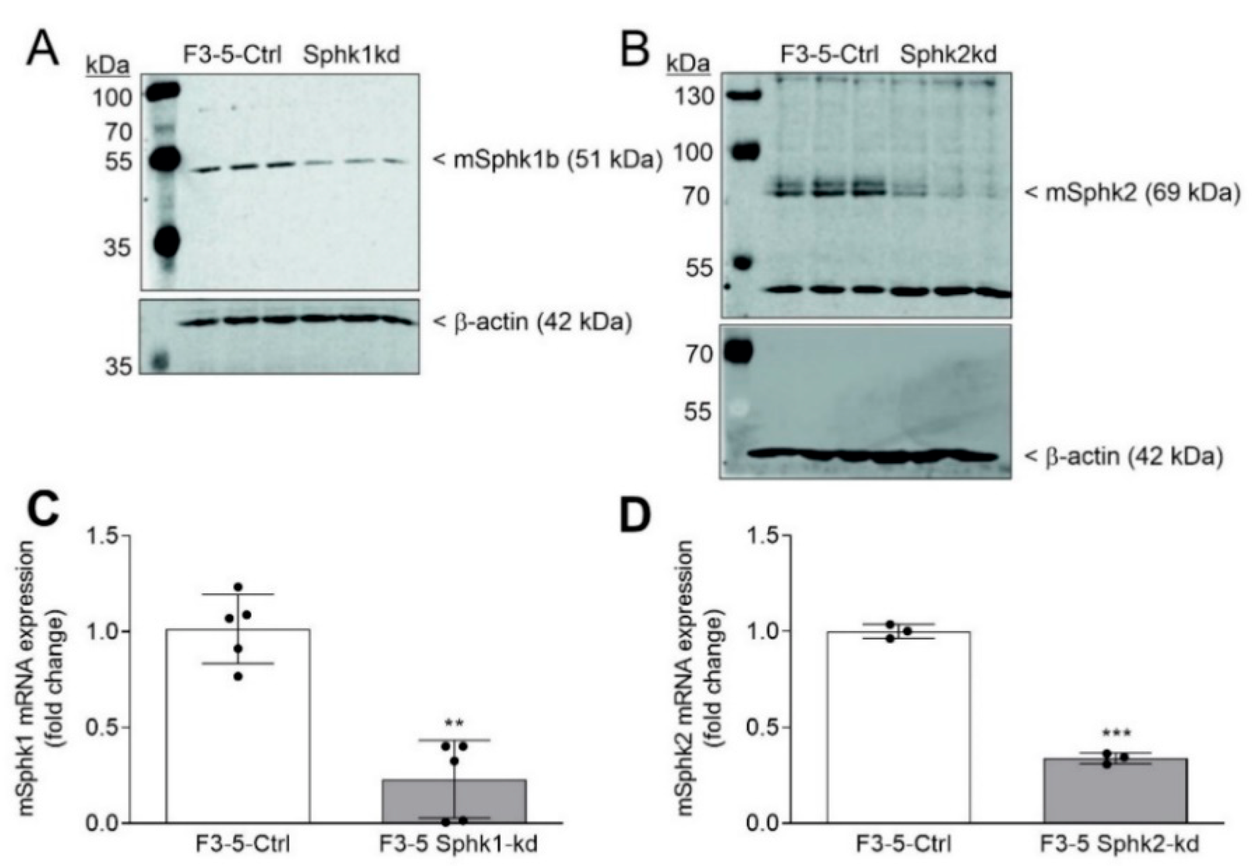 Ijms 23 05882 g001 550
