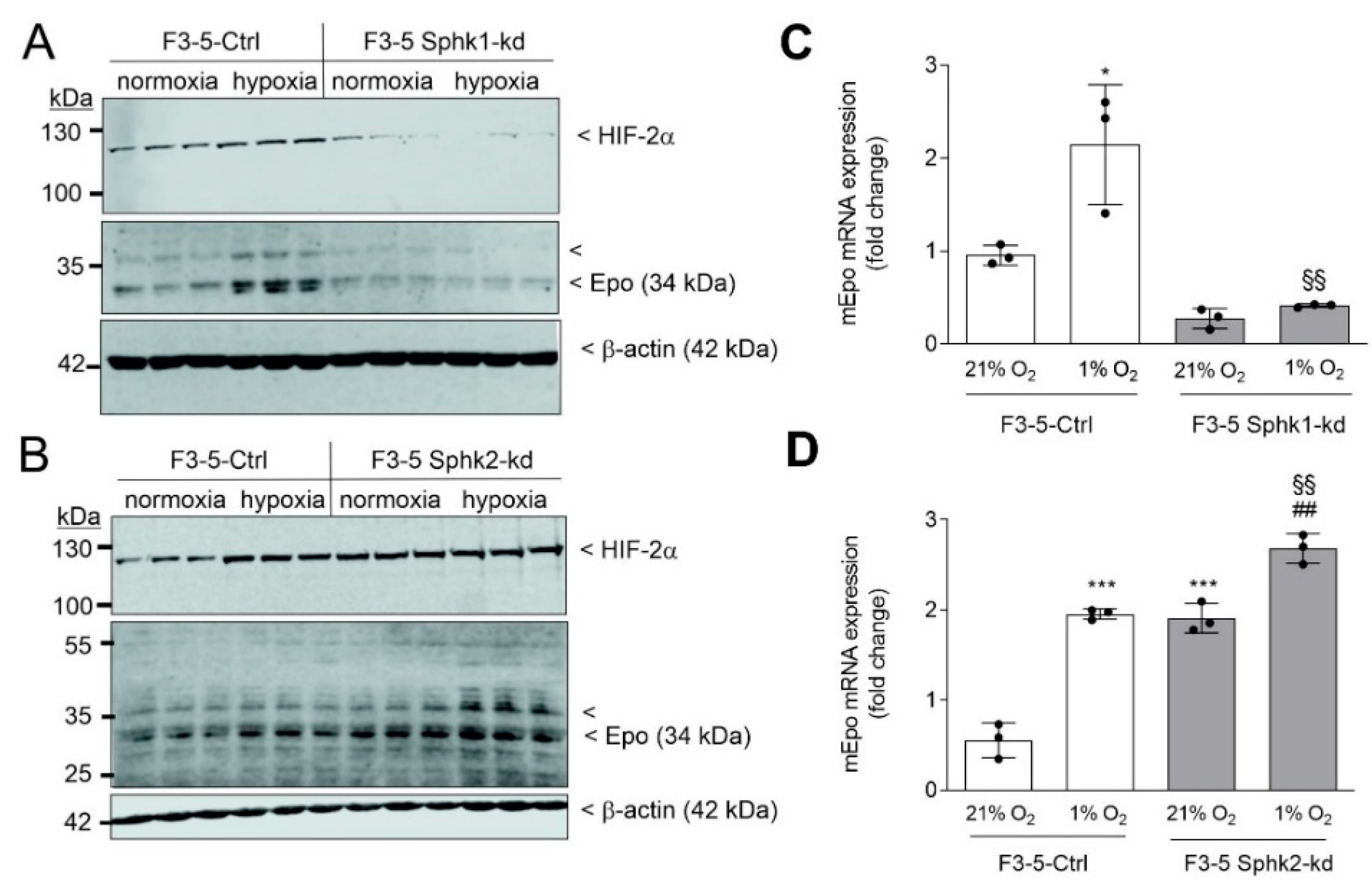 Ijms 23 05882 g002 550