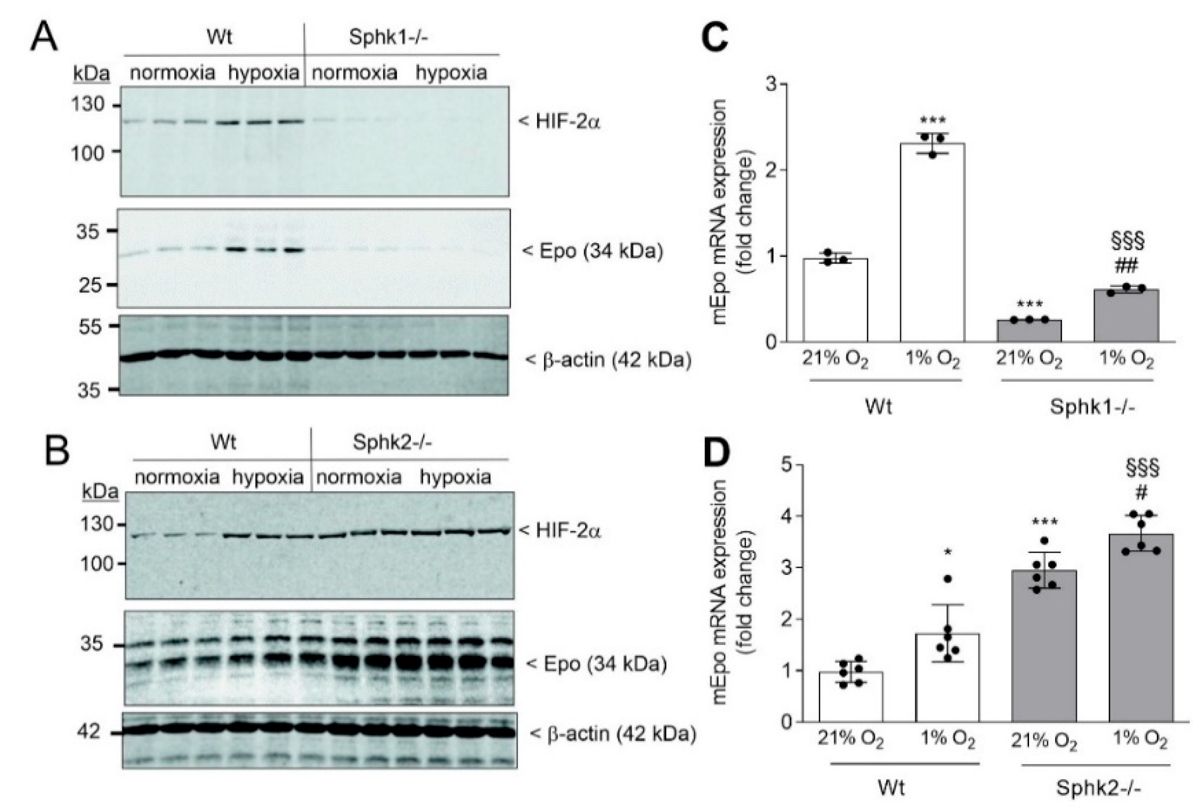 Ijms 23 05882 g004 550