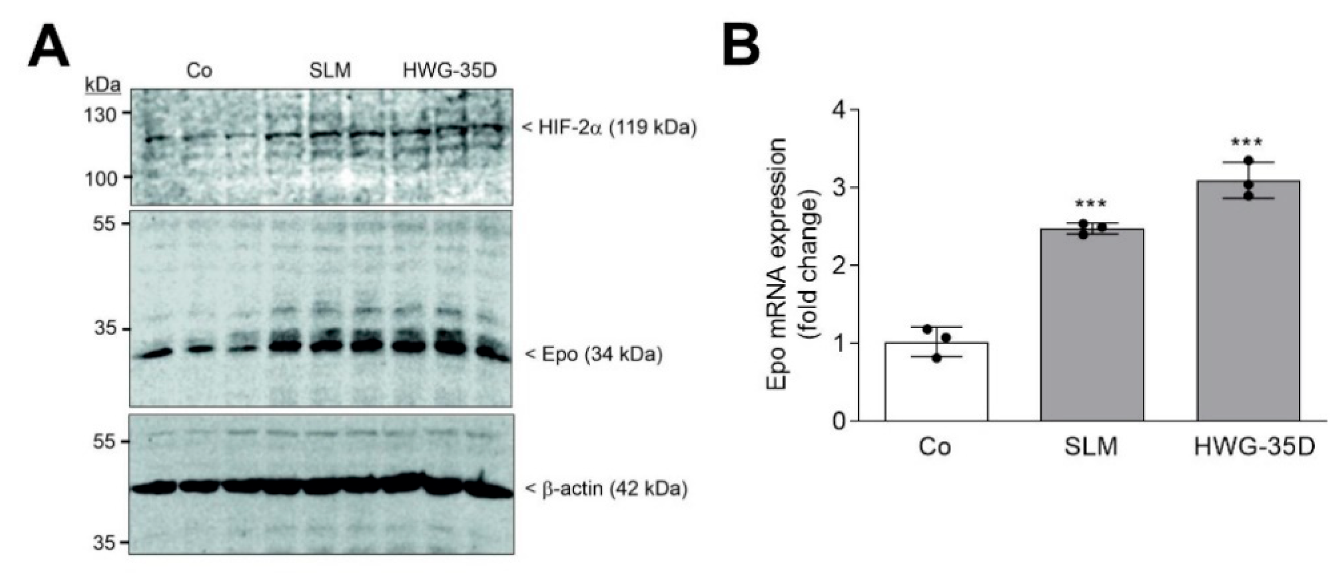 Ijms 23 05882 g005 550