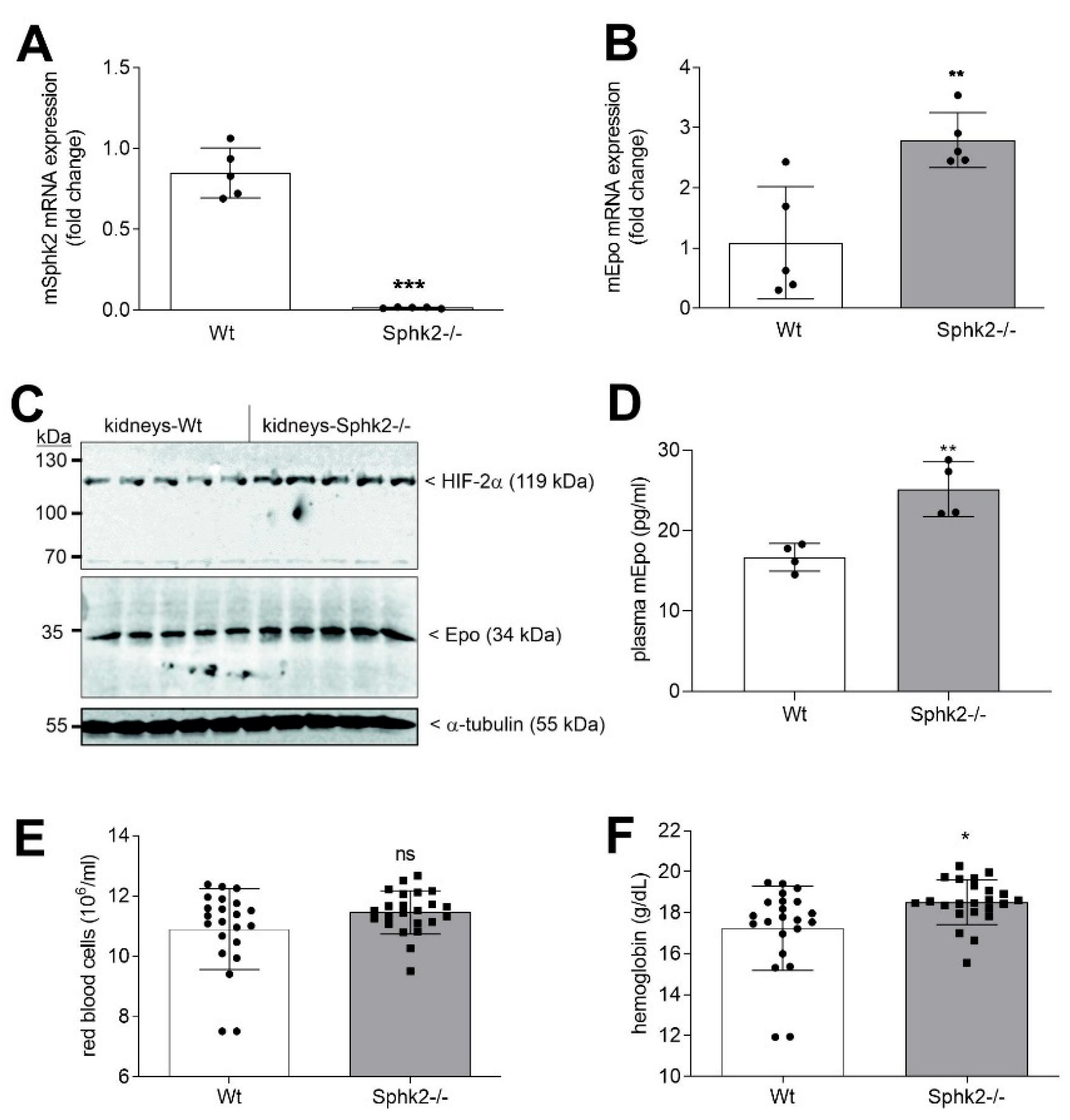 Ijms 23 05882 g007 550