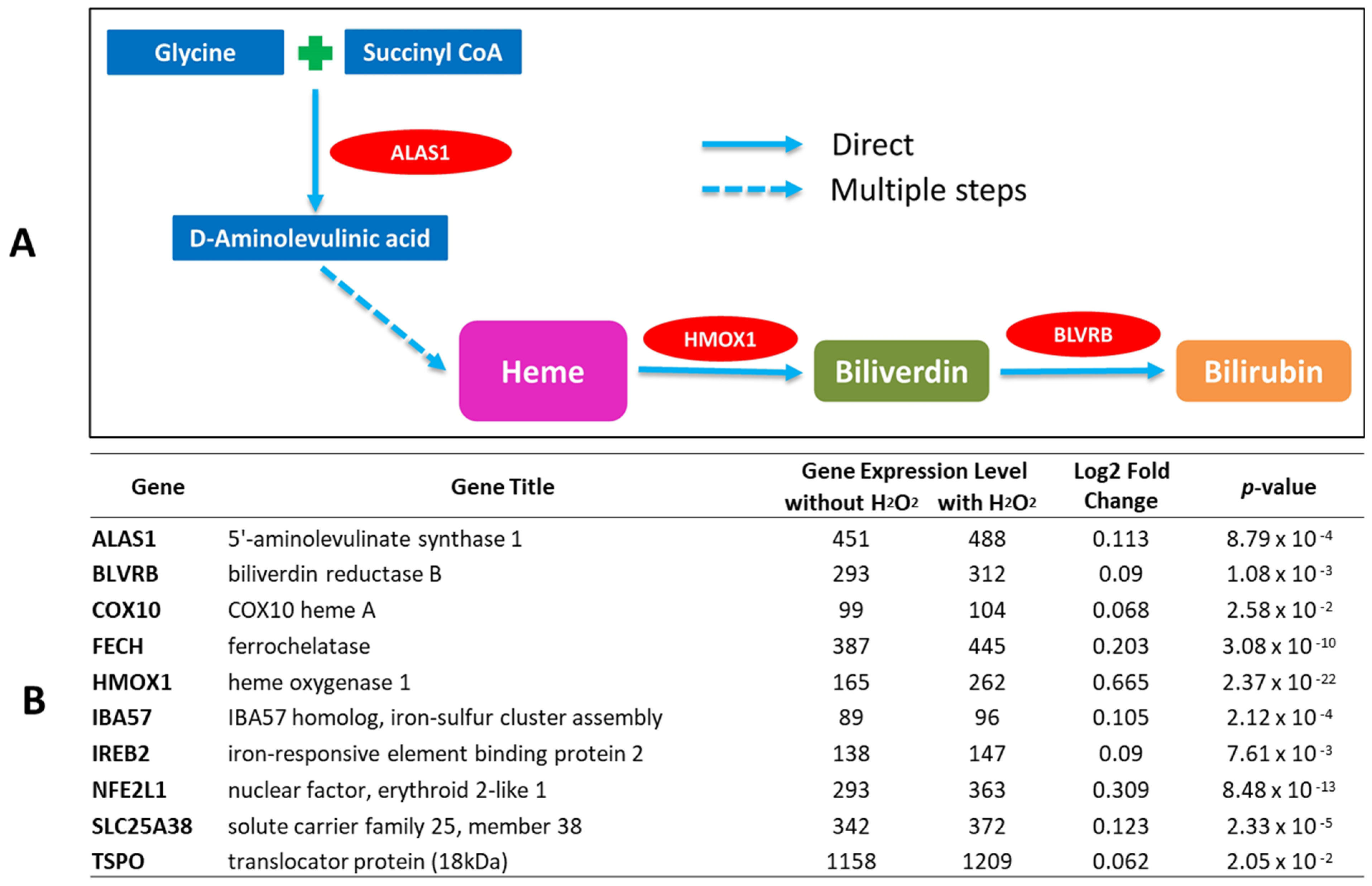 Ijms 23 05884 g001 550
