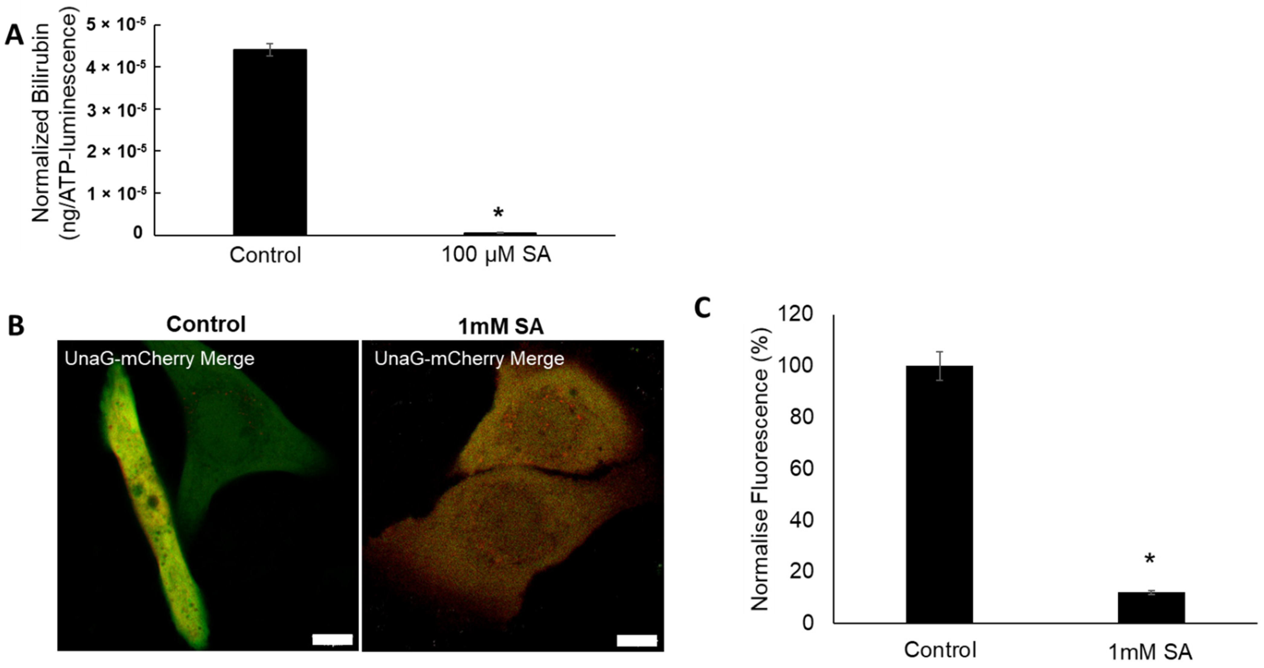 Ijms 23 05884 g003 550
