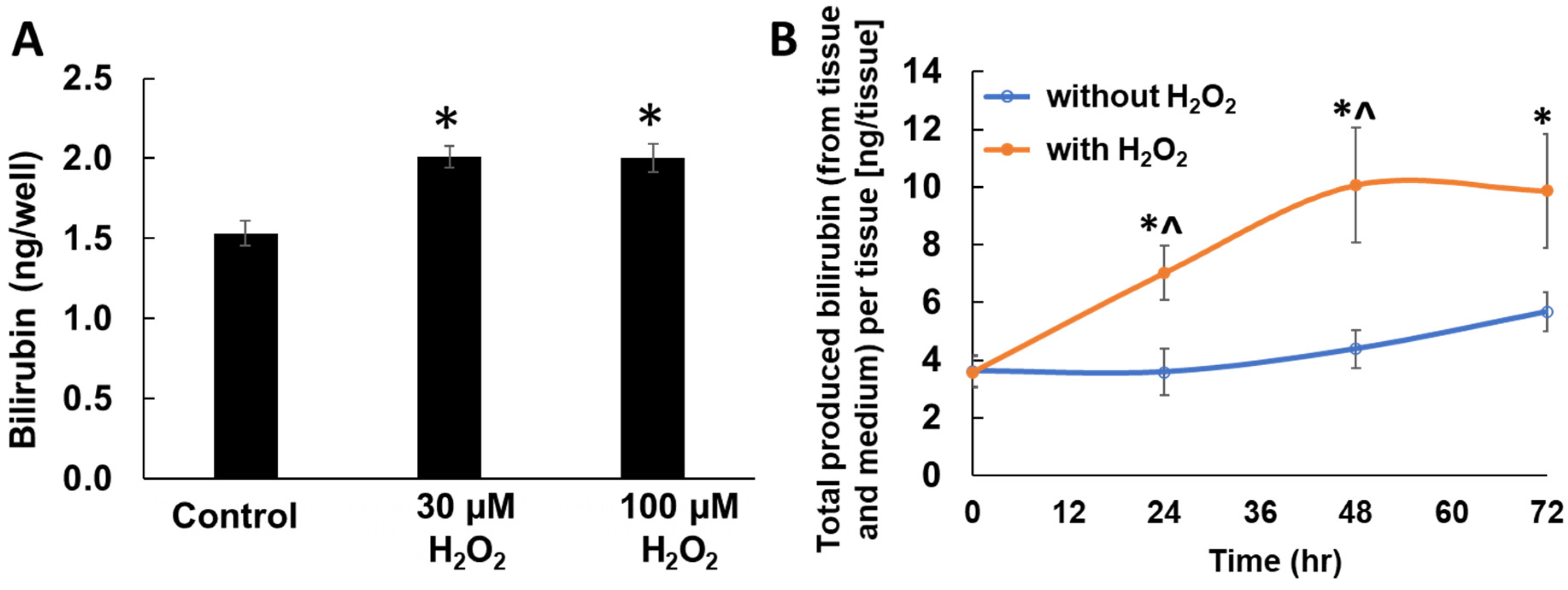 Ijms 23 05884 g004 550